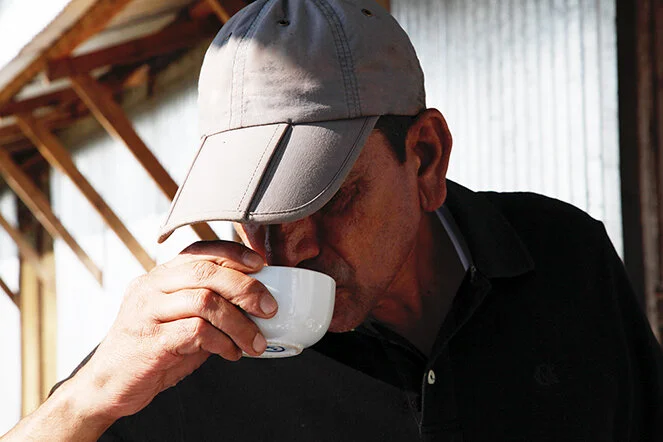 Tea growers and Specialists from around the world - Tea Gardens of Scotland