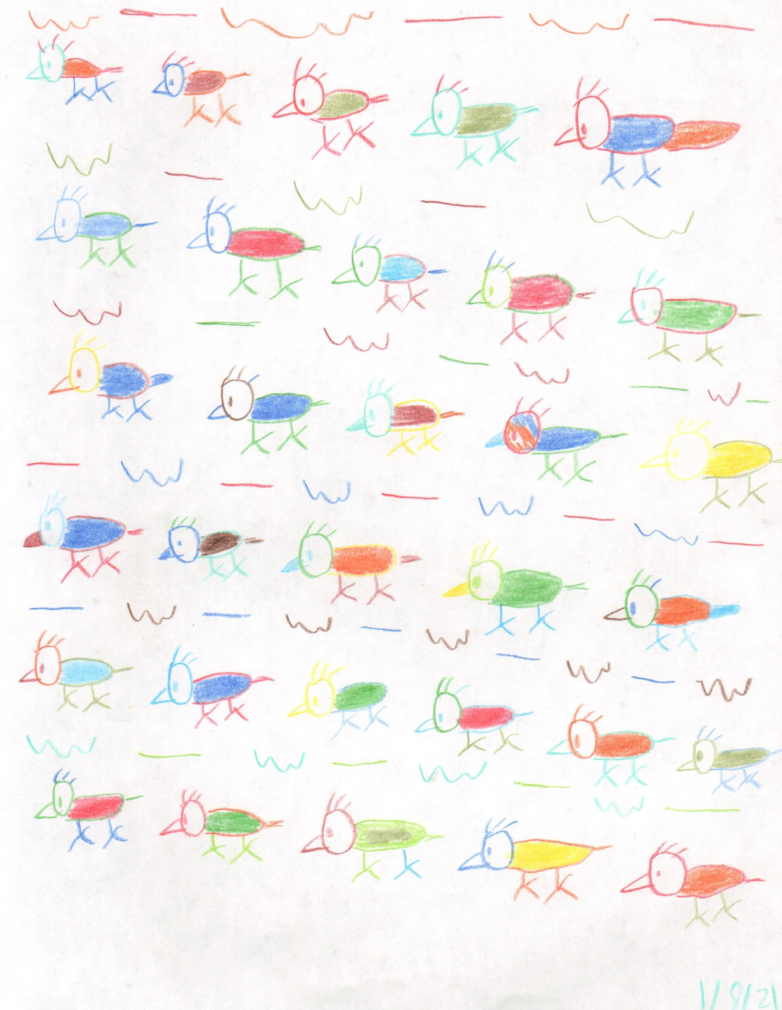 Andrew_Yin_birds and design_colred pencil_21.jpg