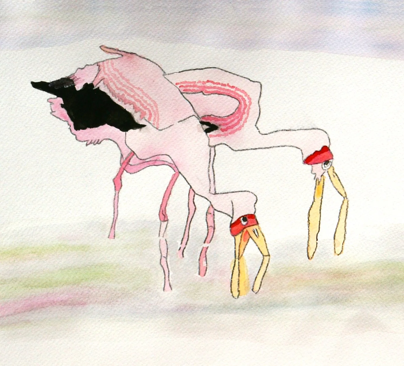 Elaine's Yellow Billed Stork.jpg