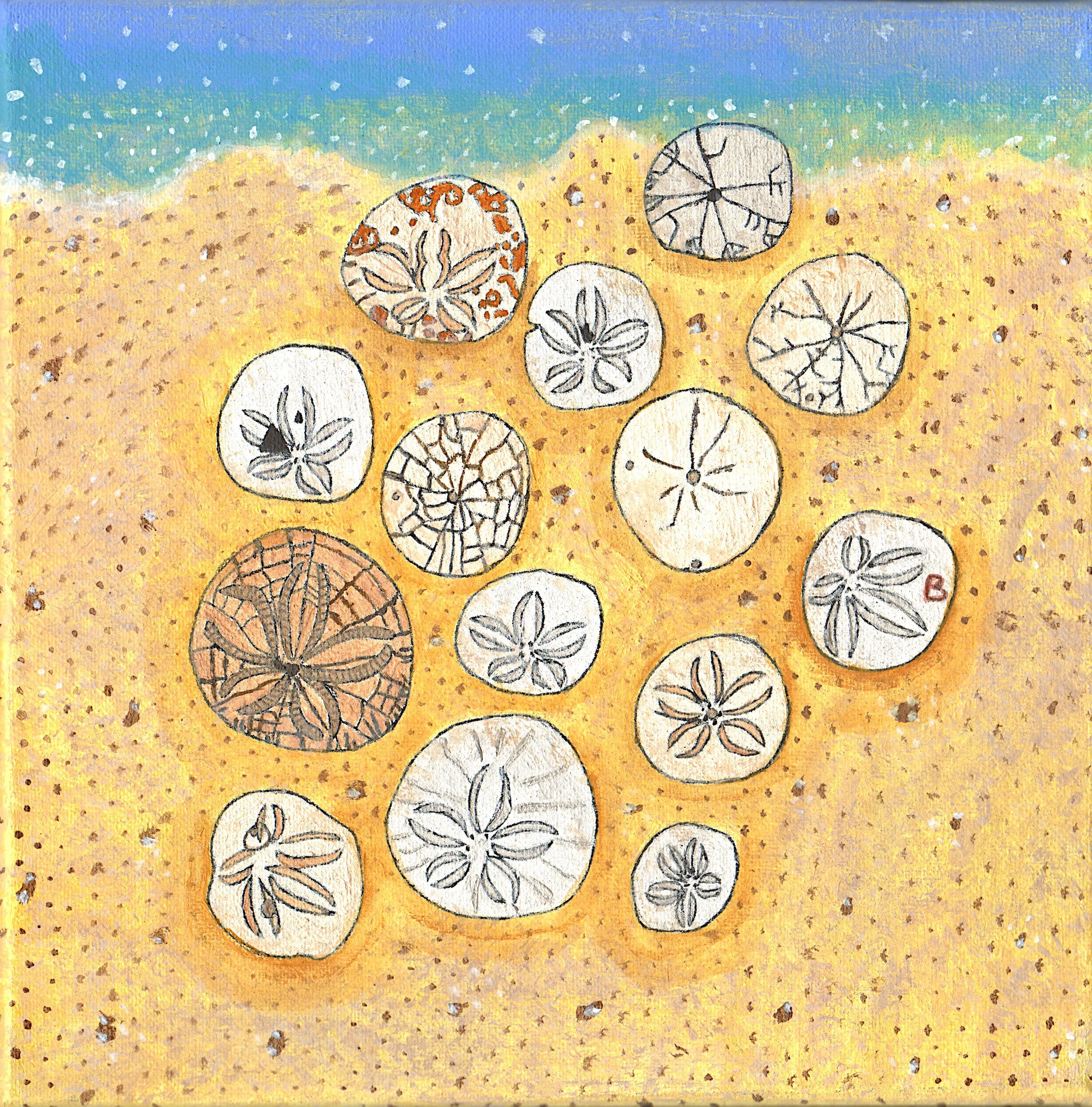 Matthew S_Sand Dollars Laying on a Sand.jpg