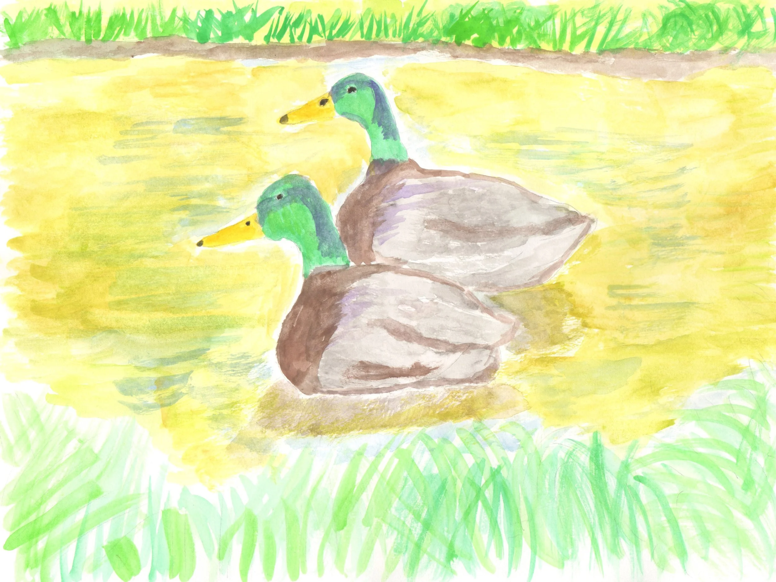 Andrew Y_Ducks in the Pond.jpg