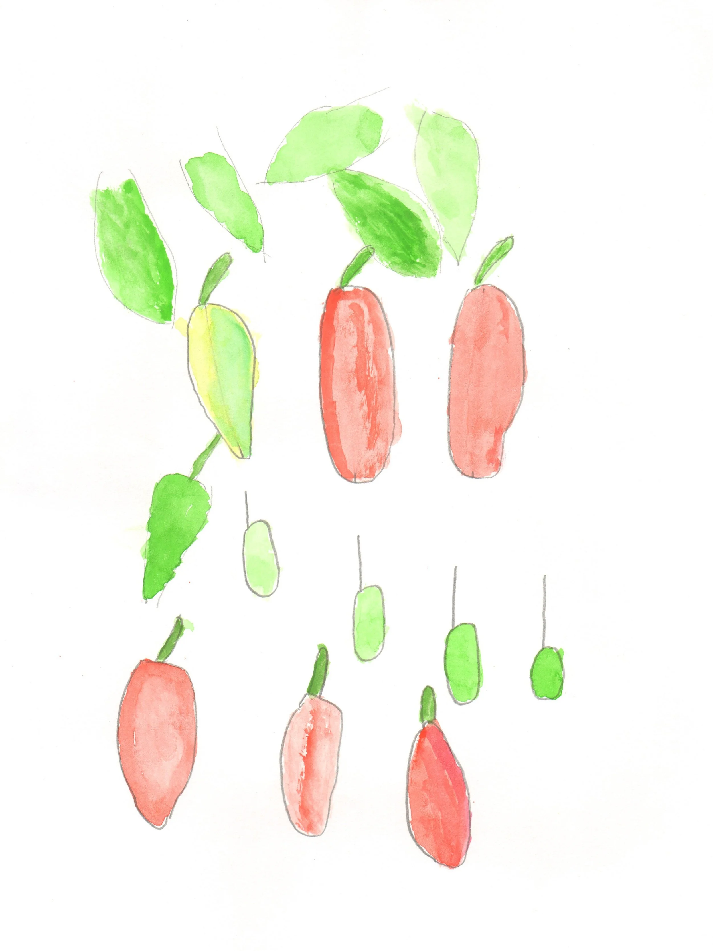 Andrew_Y_untitled_Watercolor_21.jpg
