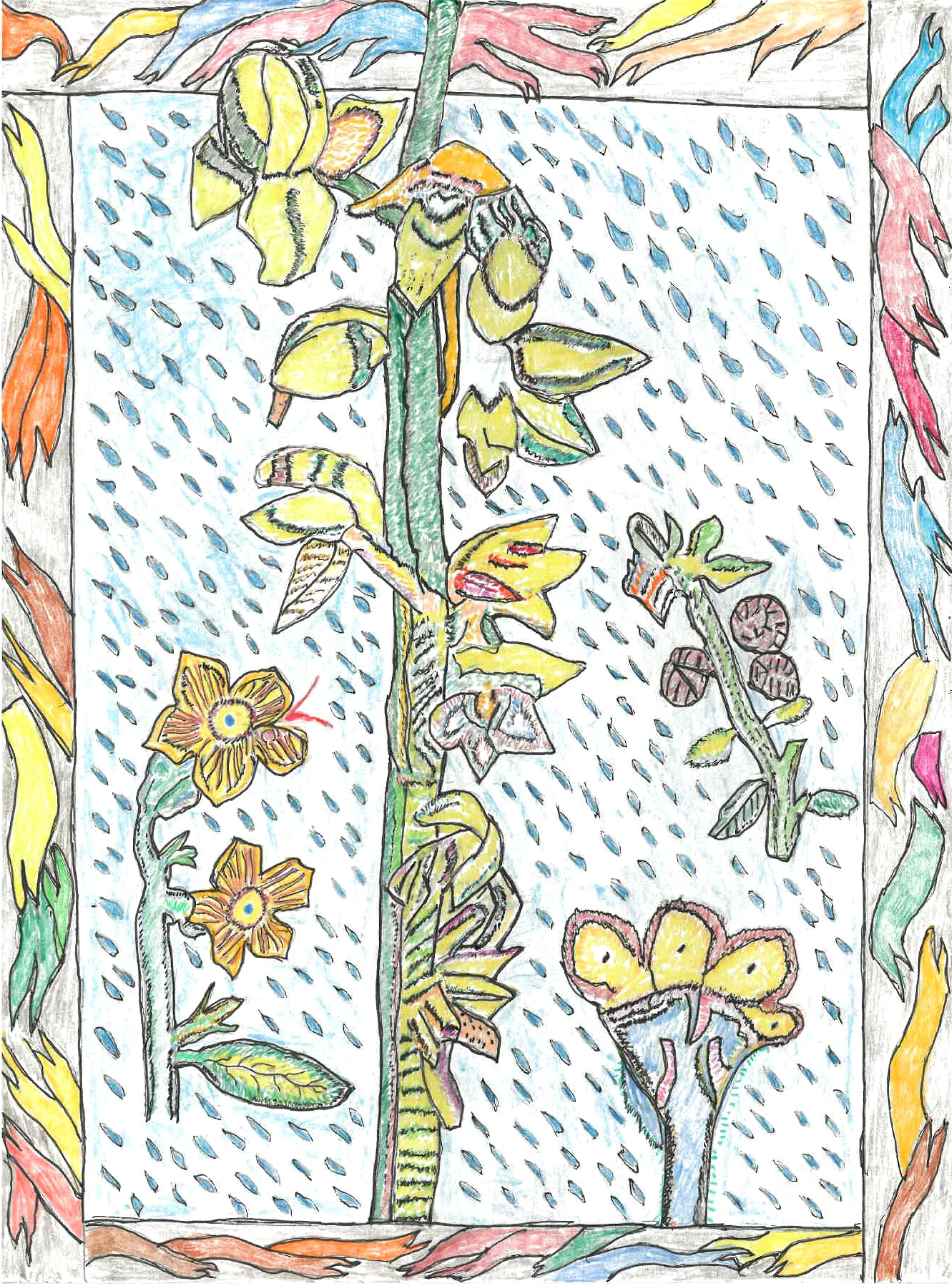 Constantine Fama flower portrait.jpg