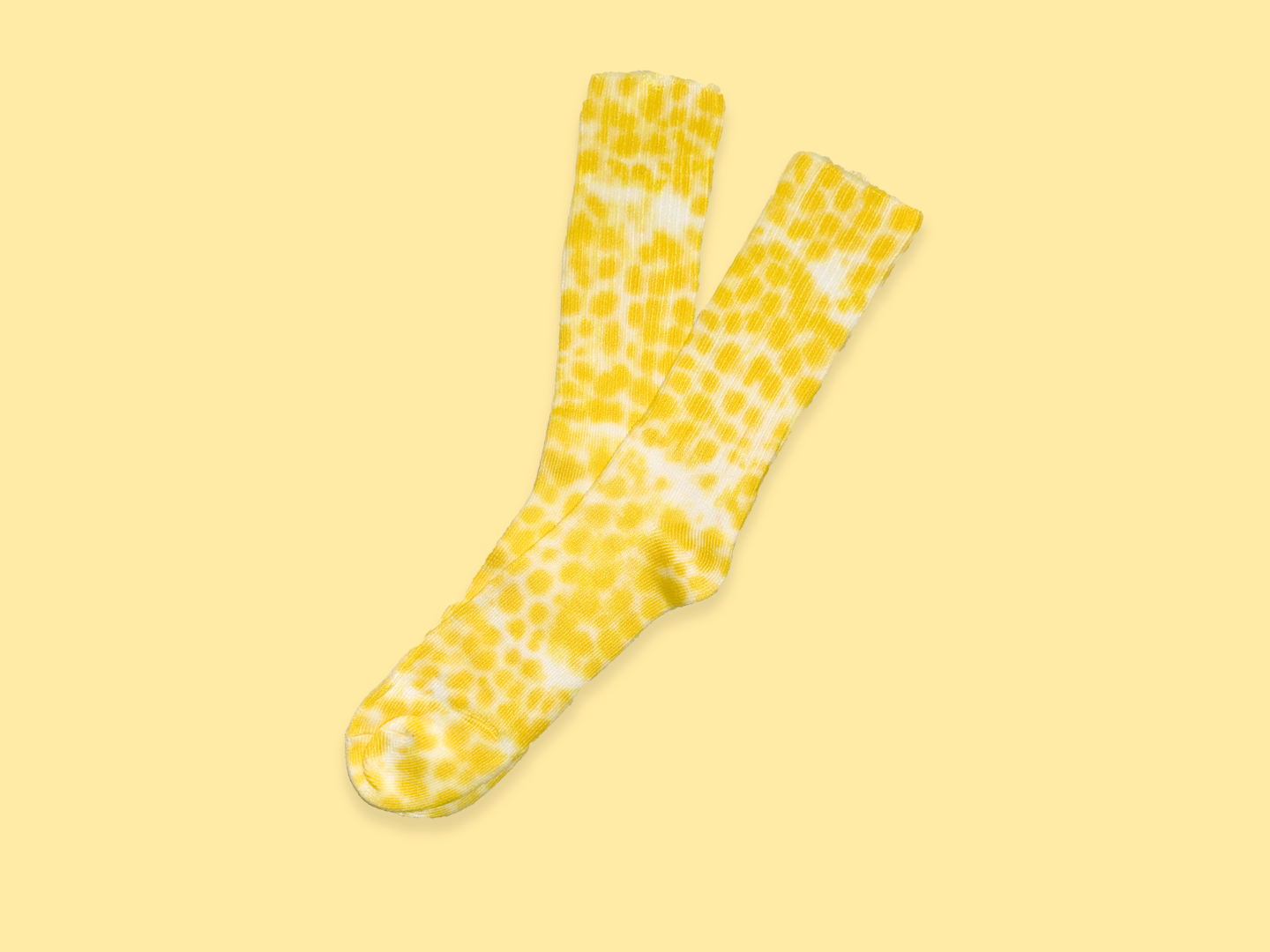 Daffodil.png