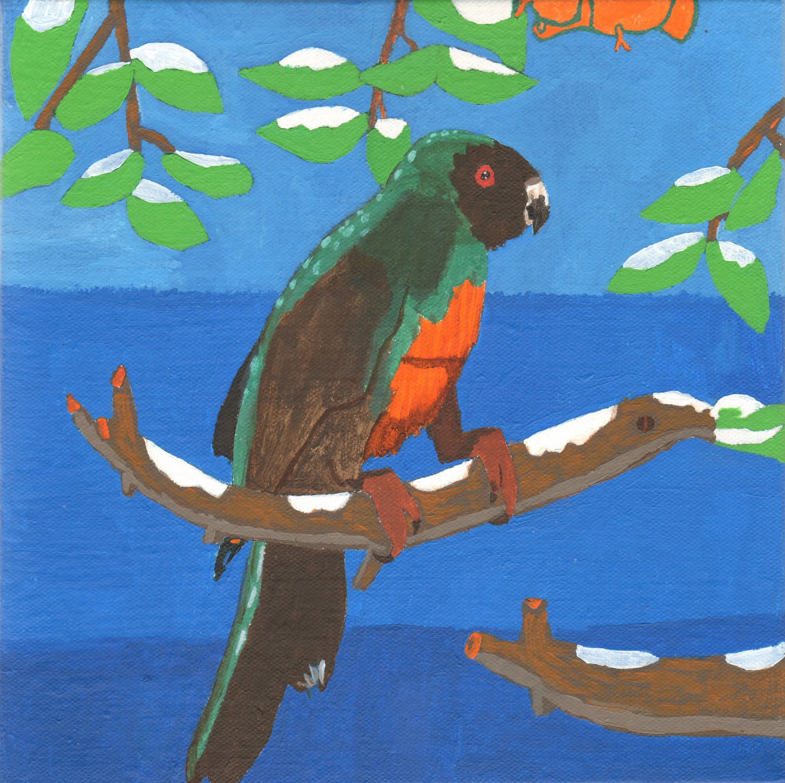 Matthew S_Parakeet on a Branch.jpg