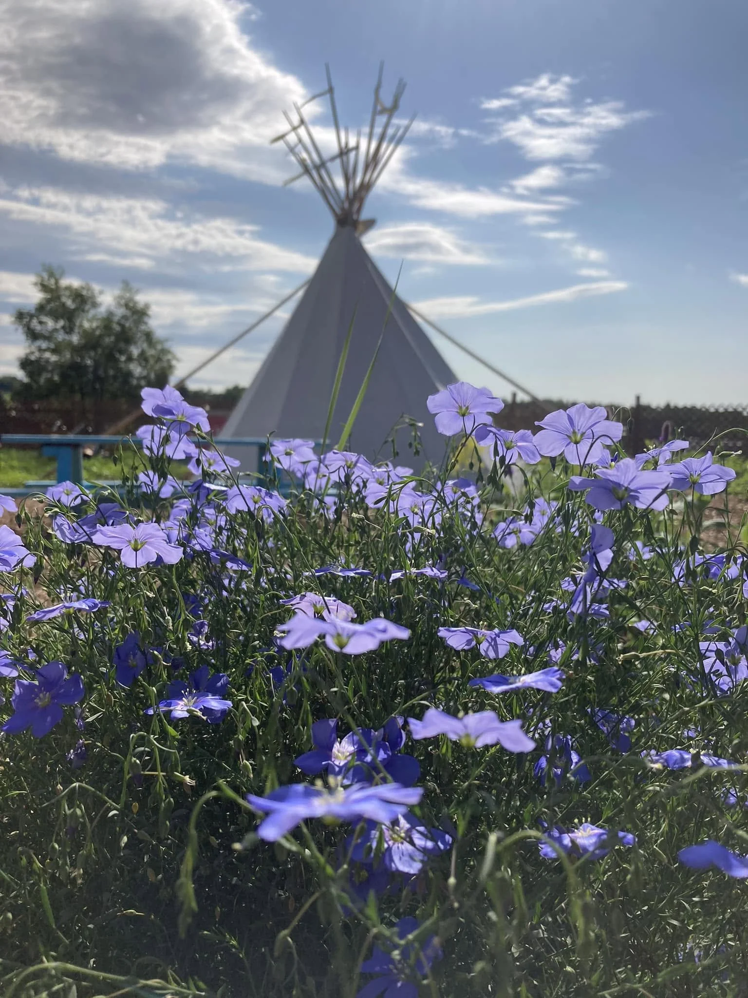 Tipi at our garden space