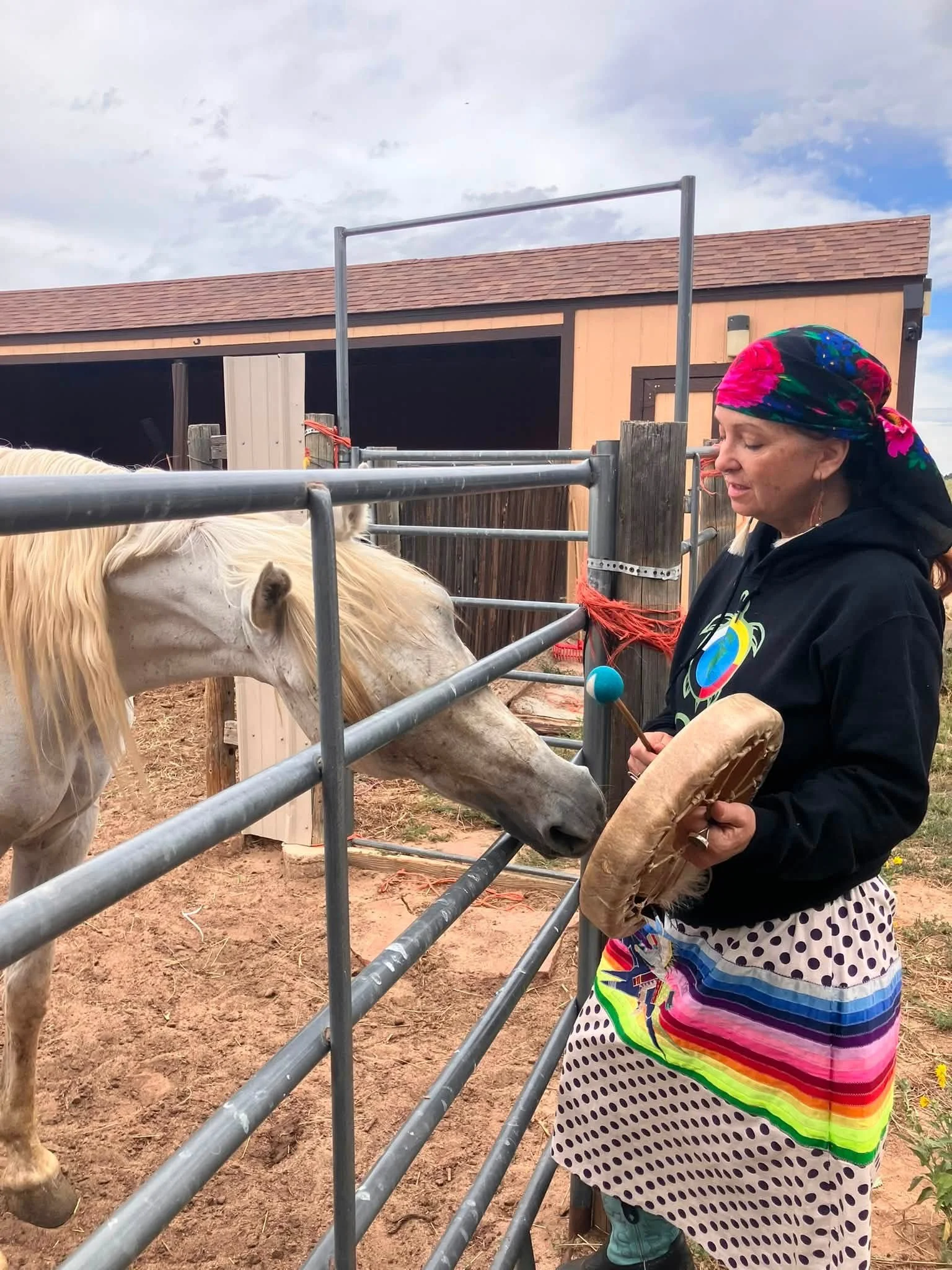 Horses like hand drum songs