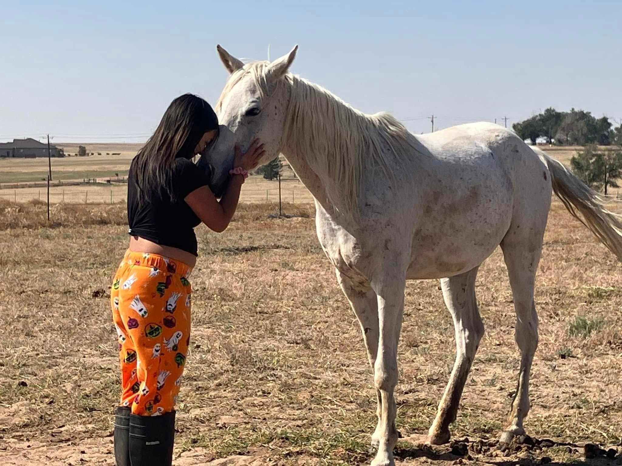 Equine Therapy