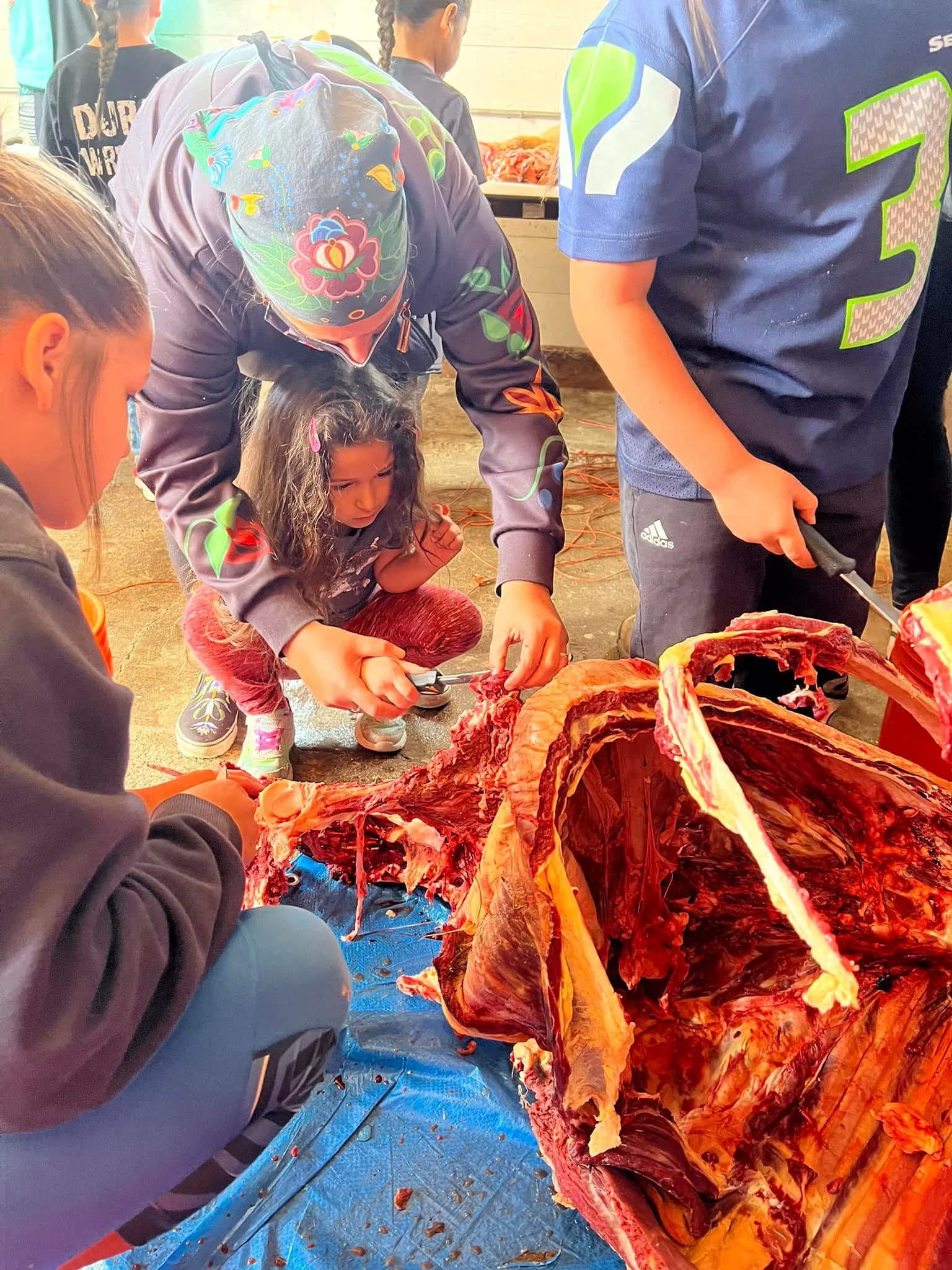 Processing a bison 