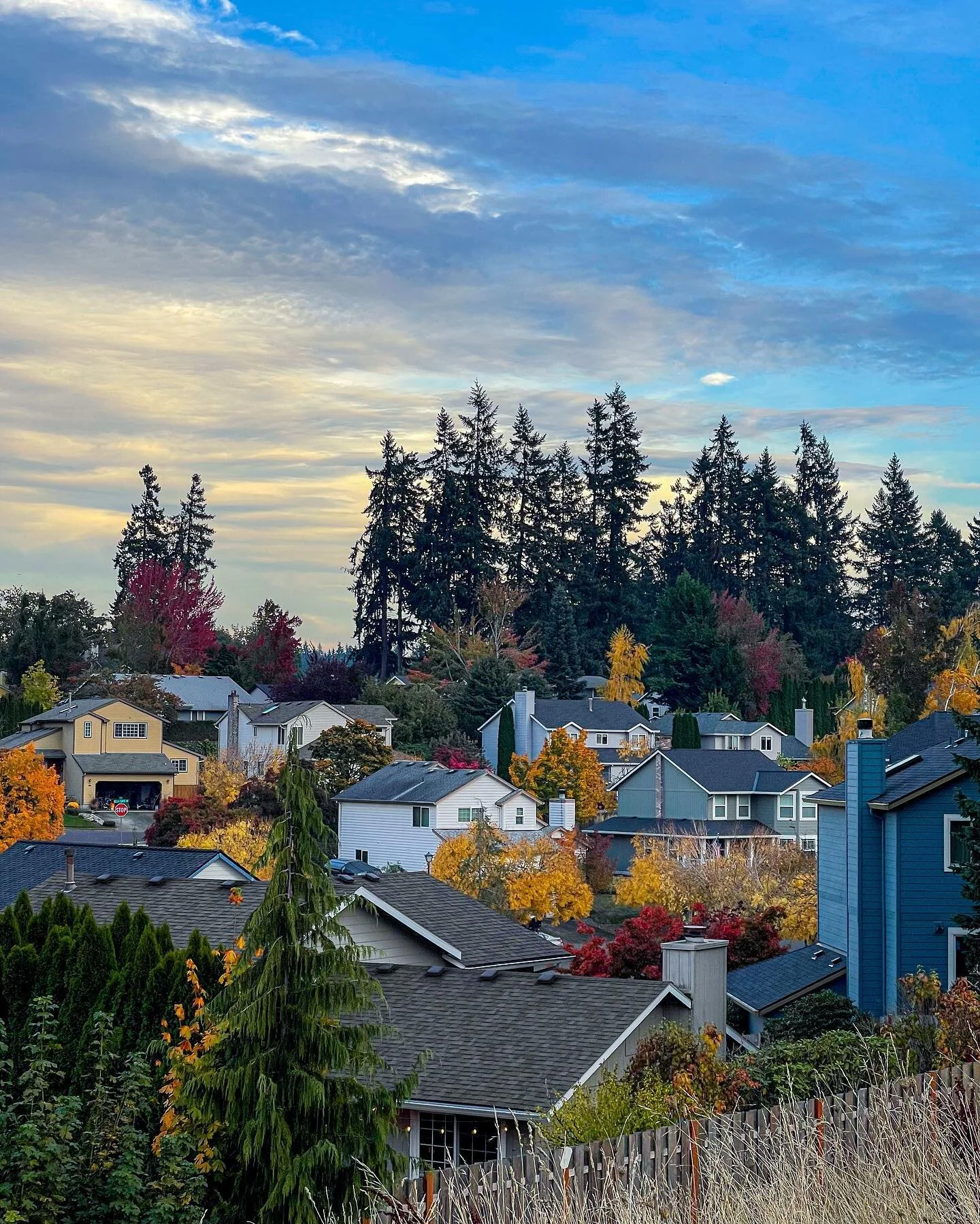 Get out your pumpkin bourbon candles and snuggle up with a cozy blanky. FALL IS HERE! THIS IS NOT A DRILL! 
&bull;
&bull;
The leaves are putting on a show this year. Which is your favorite? 🤔🍁
&bull;
&bull;
Comment 1️⃣, 2️⃣, 3️⃣ or 4️⃣ !
&bull;
&bull;
#pdxrealestateagent #pdxrealtorlife #pdxrealtors #portland #portlandrealestate