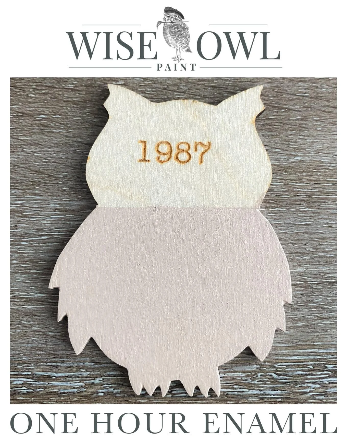 A rubber owl decoration with the year 1987 etched on its head, branded as 'Wise Owl Paint' and described as one hour enamel.