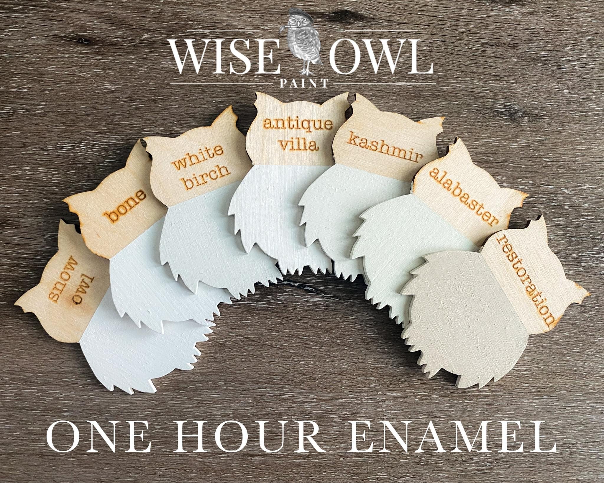 Wooden paint swatches with names of different paint colors on paper leaves, labeled "One Hour Enamel" and "Wise Owl Paint" at the top.