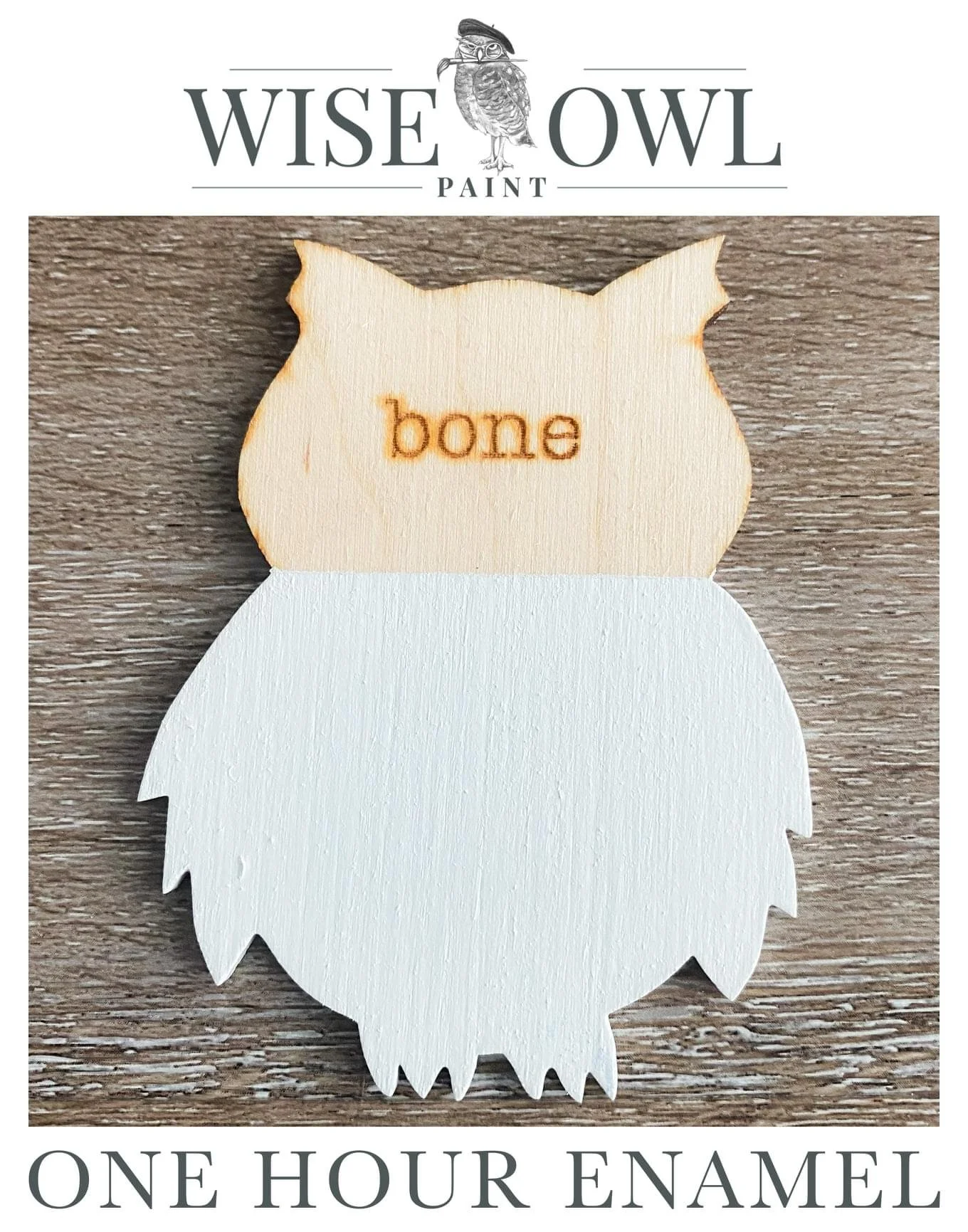 Wooden owl shaped ornament with the word "bone" engraved on the head, used as a paint sample for one hour enamel paint by Wise Owl Paint.