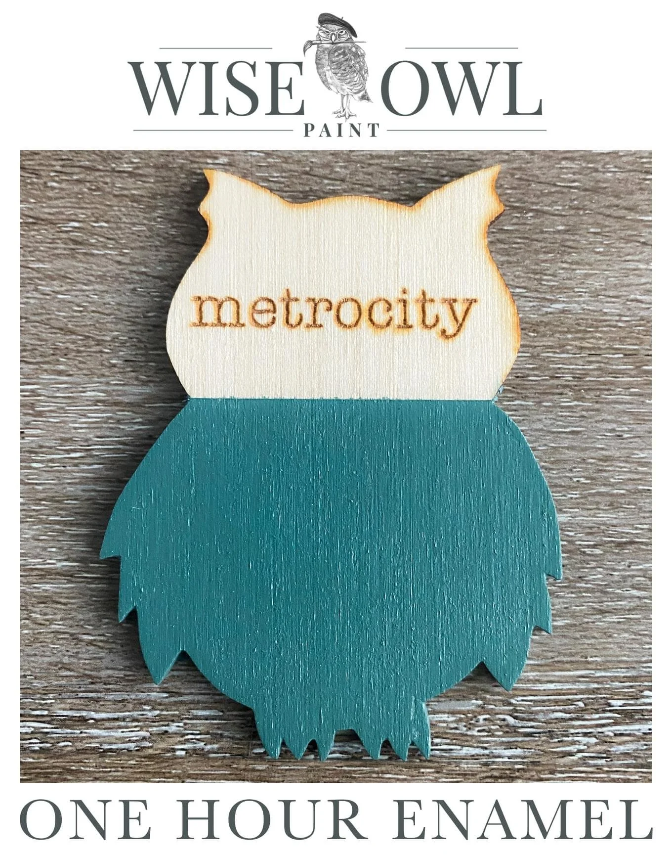 A painted wooden owl with the word "metropolitan" engraved on its face, depicting a blue and white design, displayed on a wooden surface, with branding for Wise Owl Paint and One Hour Enamel.
