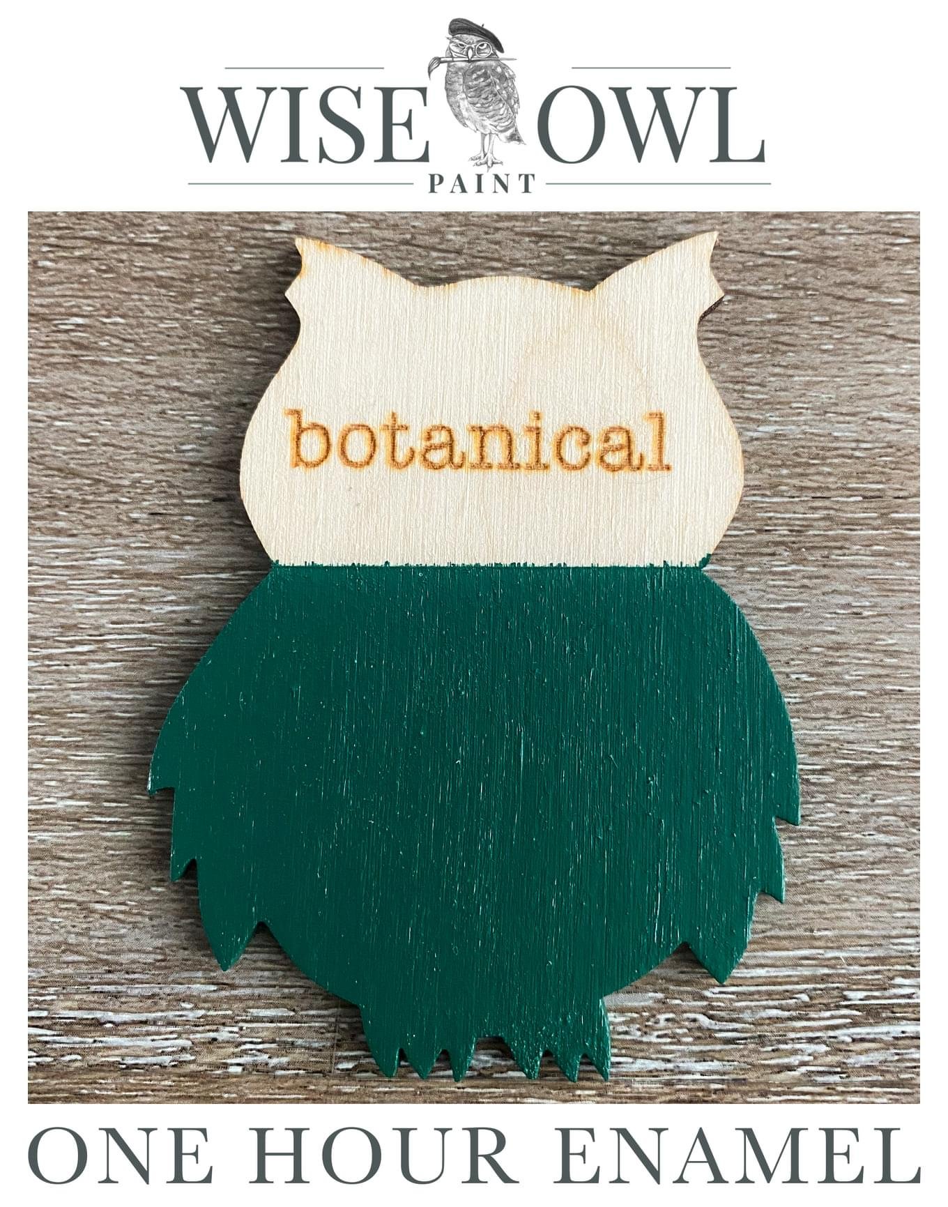 Wooden pin shaped like a pine cone with the word 'botanical' engraved in orange, green painted bottom part, with branding "Wise Owl Paint" and text "One Hour Enamel" at the top and bottom of the image.