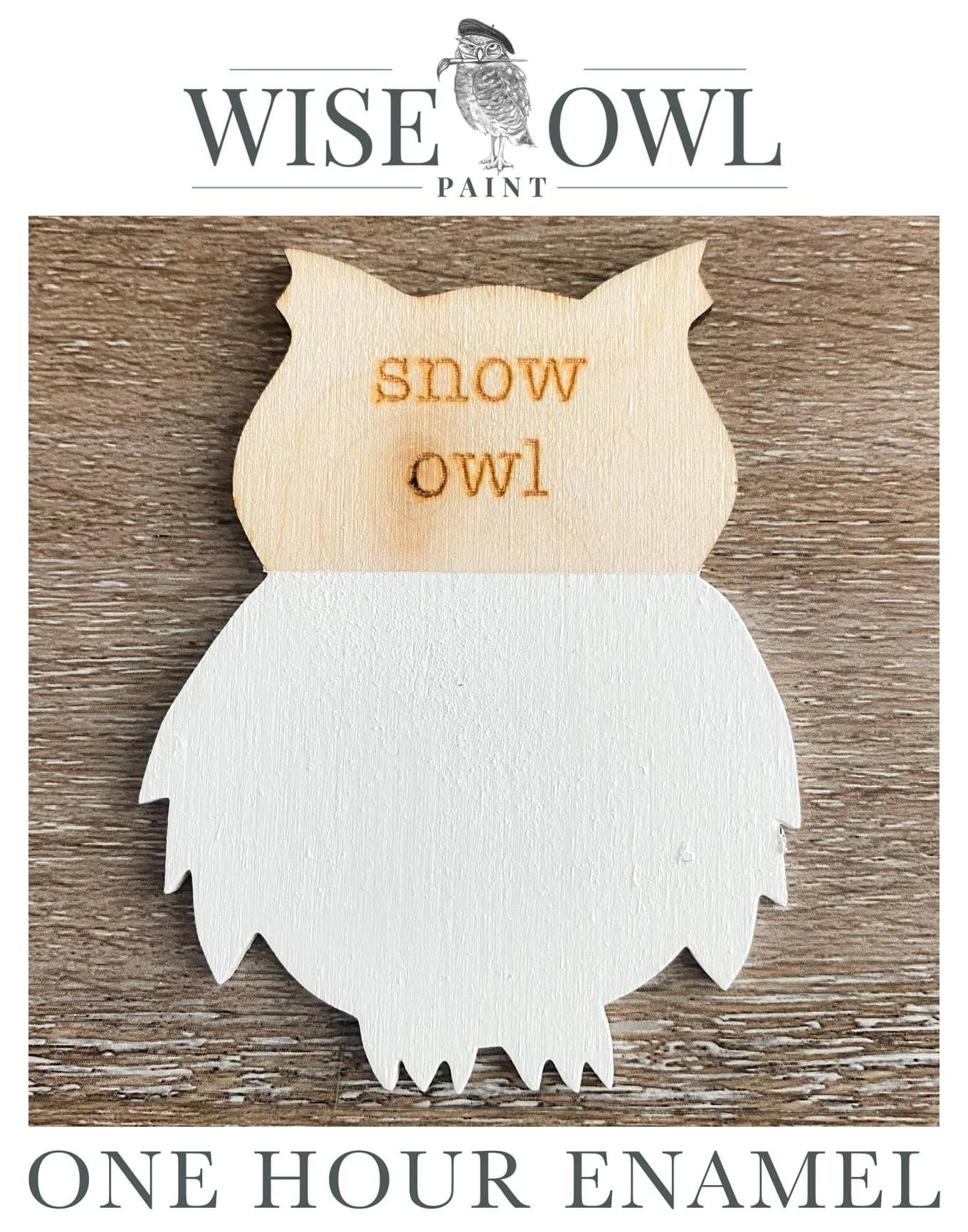 Wooden owl-shaped sign painted with the phrase "Snow melts" in orange and brown, from Wise Owl Paint, with text indicating "One hour enamel".
