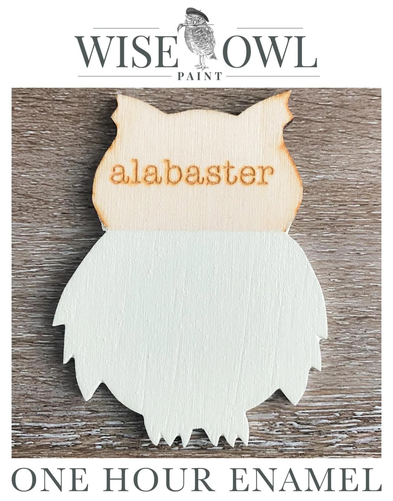 Logo for Wise Owl Paint featuring a stylized owl with the word 'alabaster' engraved on a wooden cutout in the shape of the owl's head. The background is a wooden surface, and text indicates one-hour enamel paint.