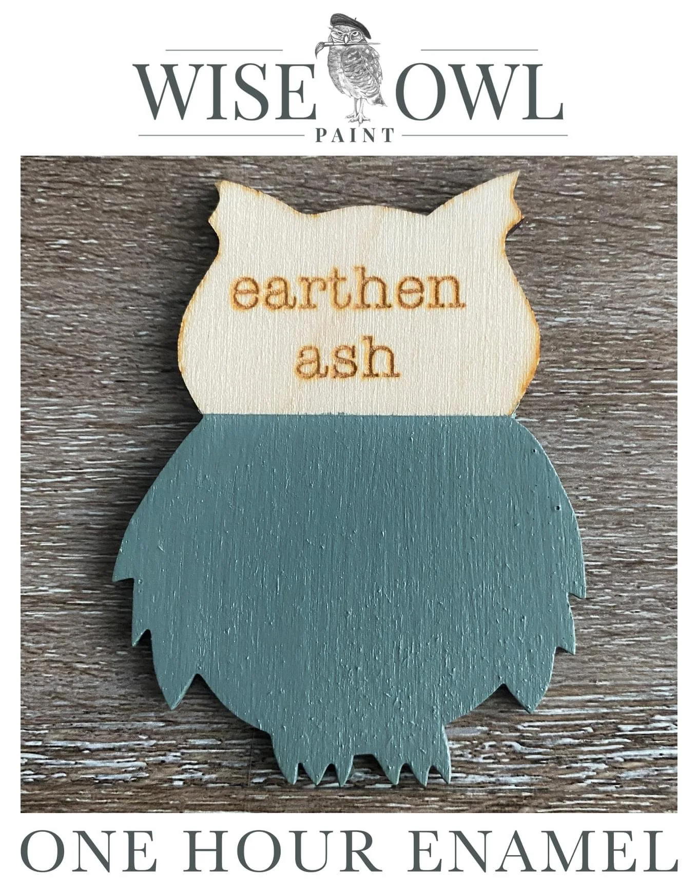 A decorative wooden piece in the shape of an owl, painted blue with natural wood accents, displaying the words 'earthen' and 'ash'. The image also features the brand name Wise Owl Paint and mentions 'One Hour Enamel' at the bottom.