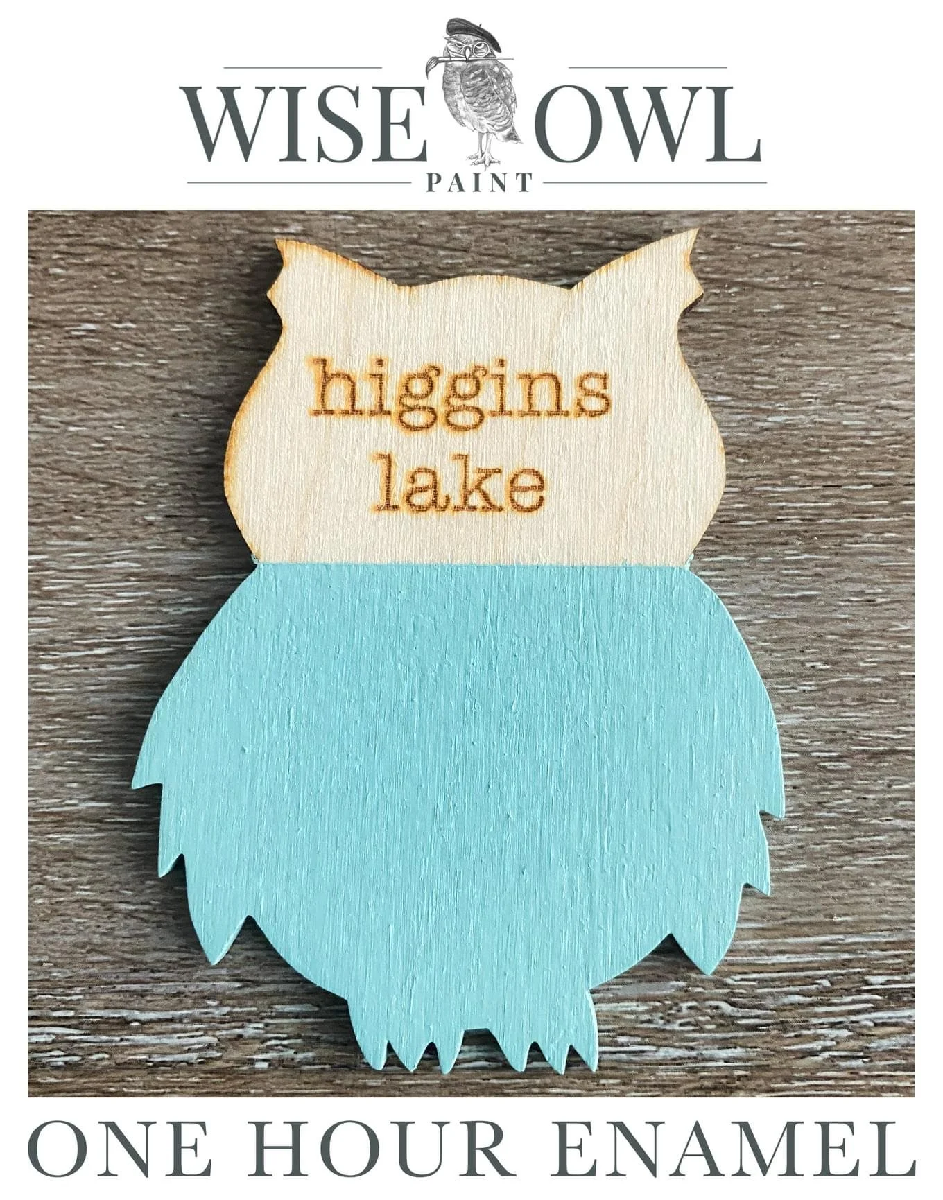 A wooden horse-shaped sign with the text "higgins lake" engraved on the head and painted light blue on the body, placed on a wooden surface. The brand name "Wise Owl Paint" and the text "One Hour Enamel" are at the top and bottom of the image.