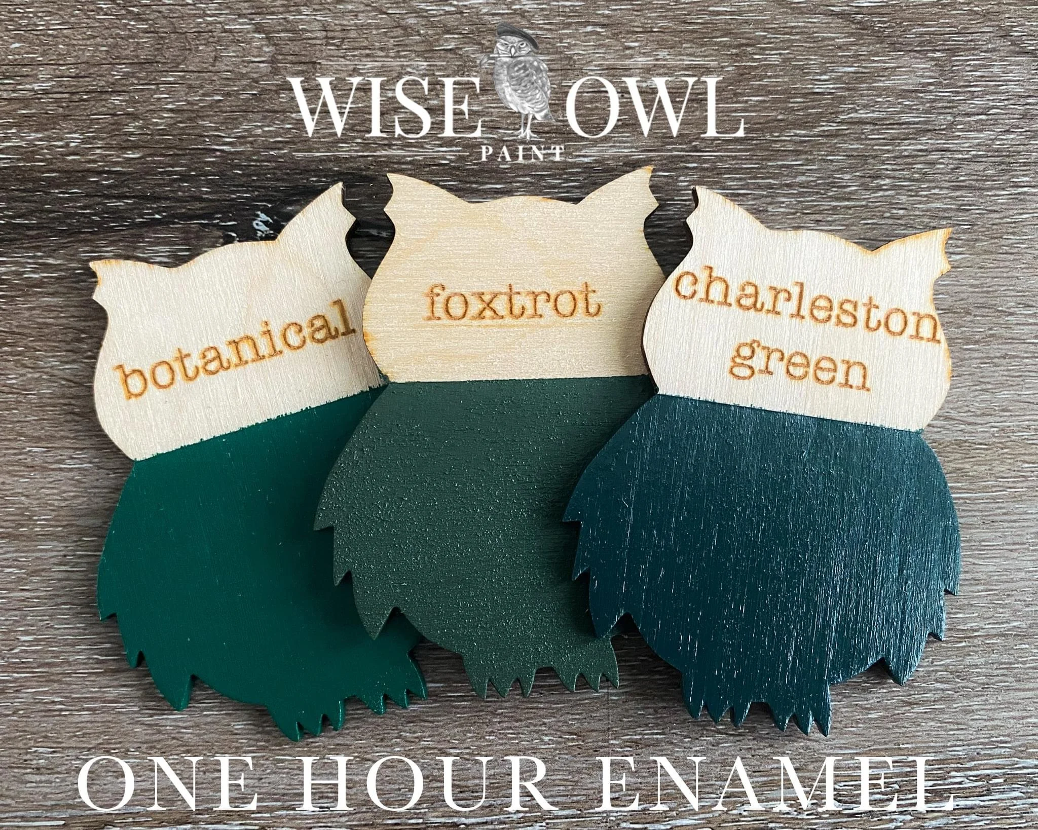 Three wooden painted owl ornaments with labeled tags for different paint colors: botanical, foxtrot, and charleston green, placed on a wooden surface. The image also includes text indicating they are from Wise Owl Paint and can be custom one-hour ena