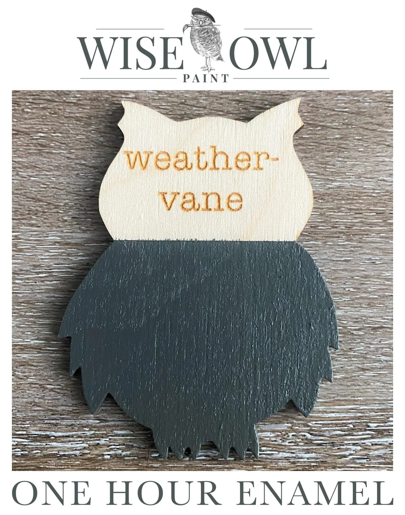 A wooden owl-shaped sign with the words "weather vane" engraved on the face, resting on a wooden surface. The packaging header displays the text "Wise Owl Paint" with a logo of an owl wearing glasses.