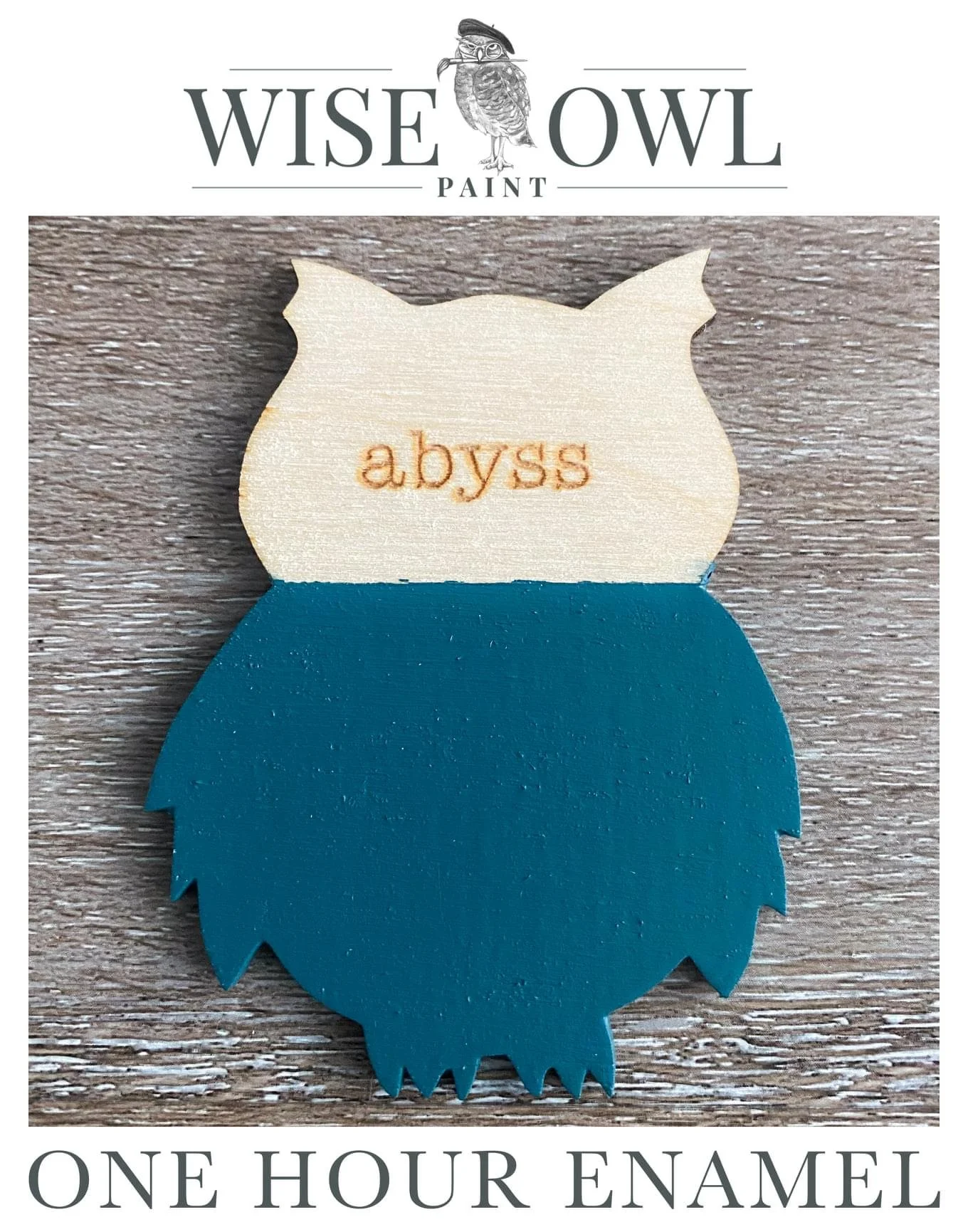 Logo of Wise Owl Paint featuring an owl illustration and a wood cutout of an owl with the word "abyss" engraved on its face, promoting one-hour enamel paint.