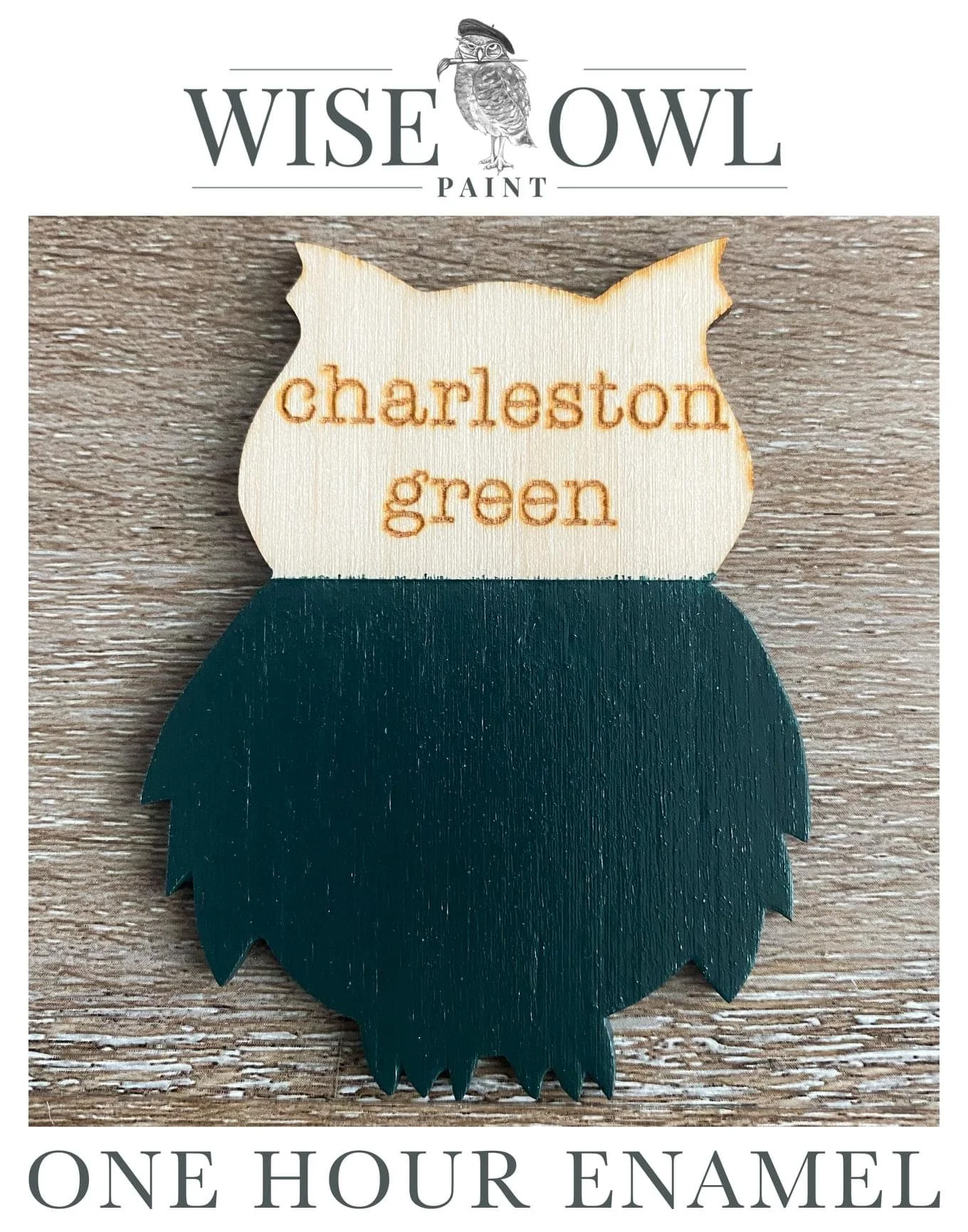 A painted wooden pinecone-shaped sign with the words 'charleston green' in orange text on a white background. The sign is part of a product label from Wise Owl Paint, which offers one-hour enamel in chrome green.
