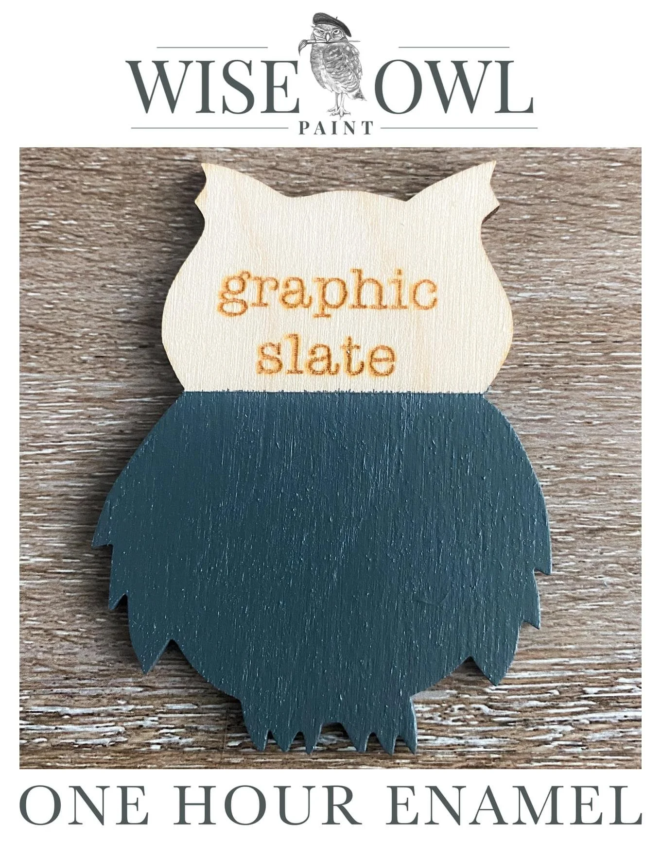 A graphic slate owl paint sample with the words "graphic slate" embroidered on a white owl-shaped cutout, and the text "Wise Owl Paint" and "One Hour Enamel" on the packaging.