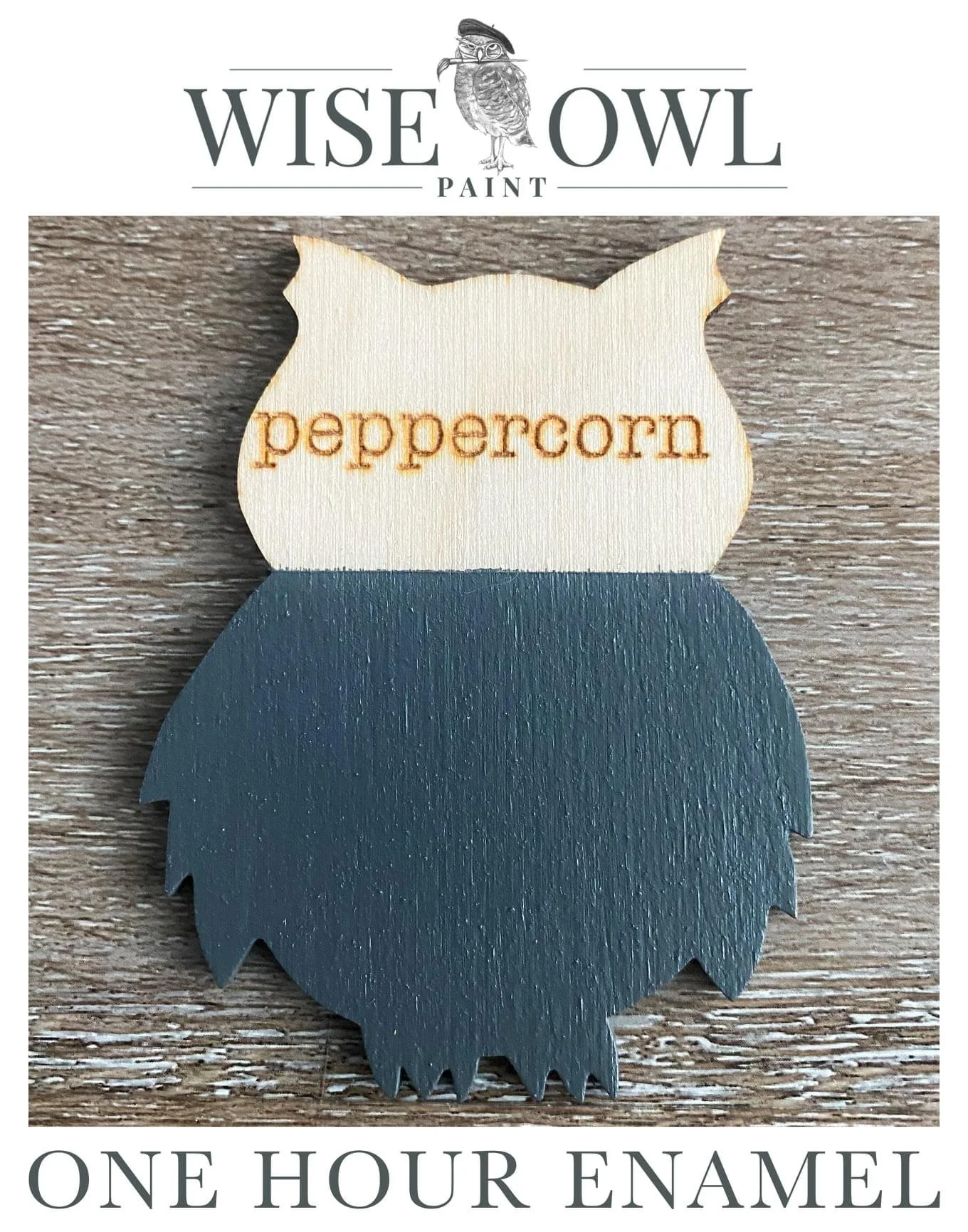 A painted wooden craft of a cute owl with the word "peppercorn" engraved on the owl's upper part, promoting Wise Owl Paint and one-hour enamel painting.