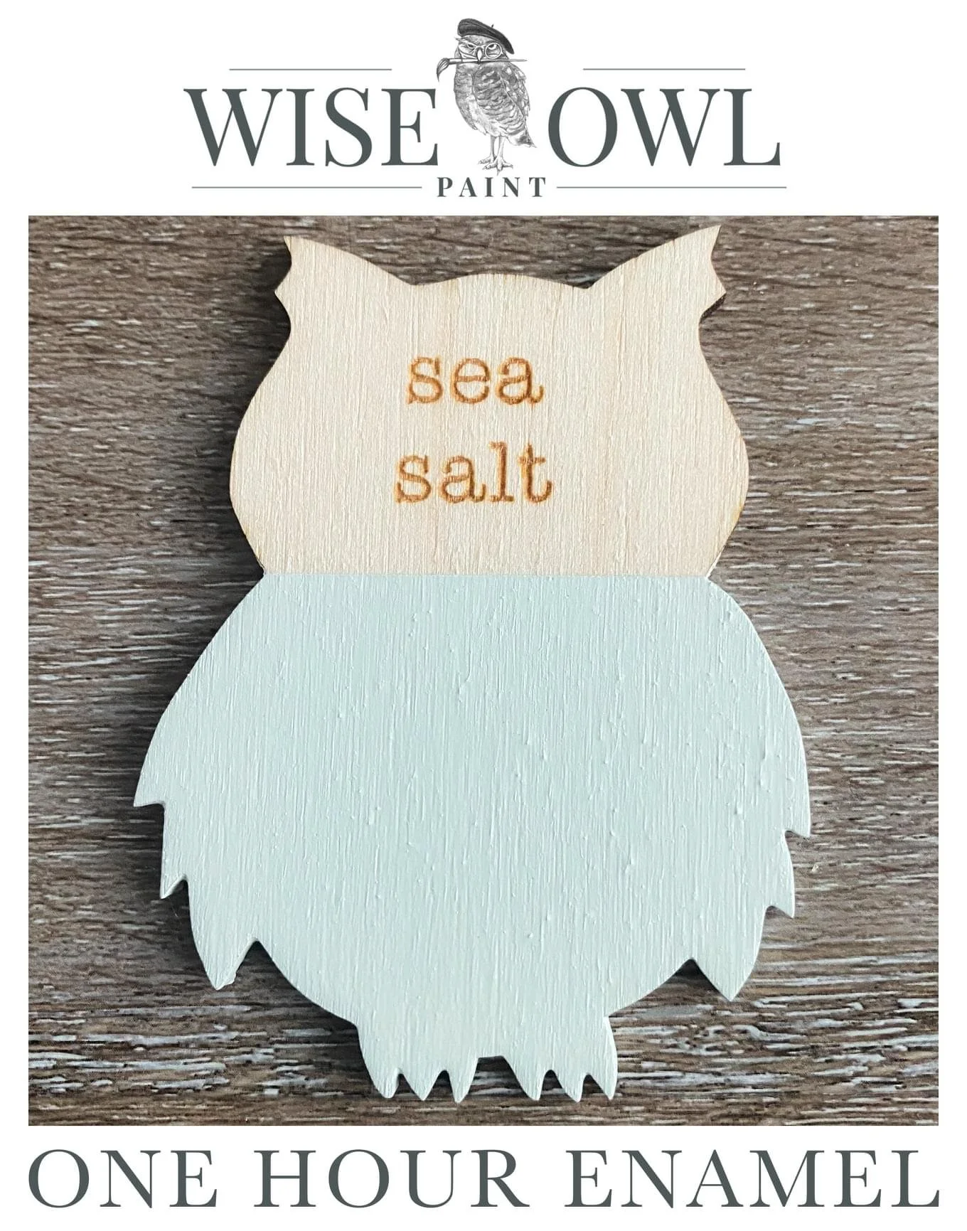 Wooden owl-shaped plaque with the words 'sea salt' painted on its head, marketed by Wise Owl Paint for one-hour enamel finish.