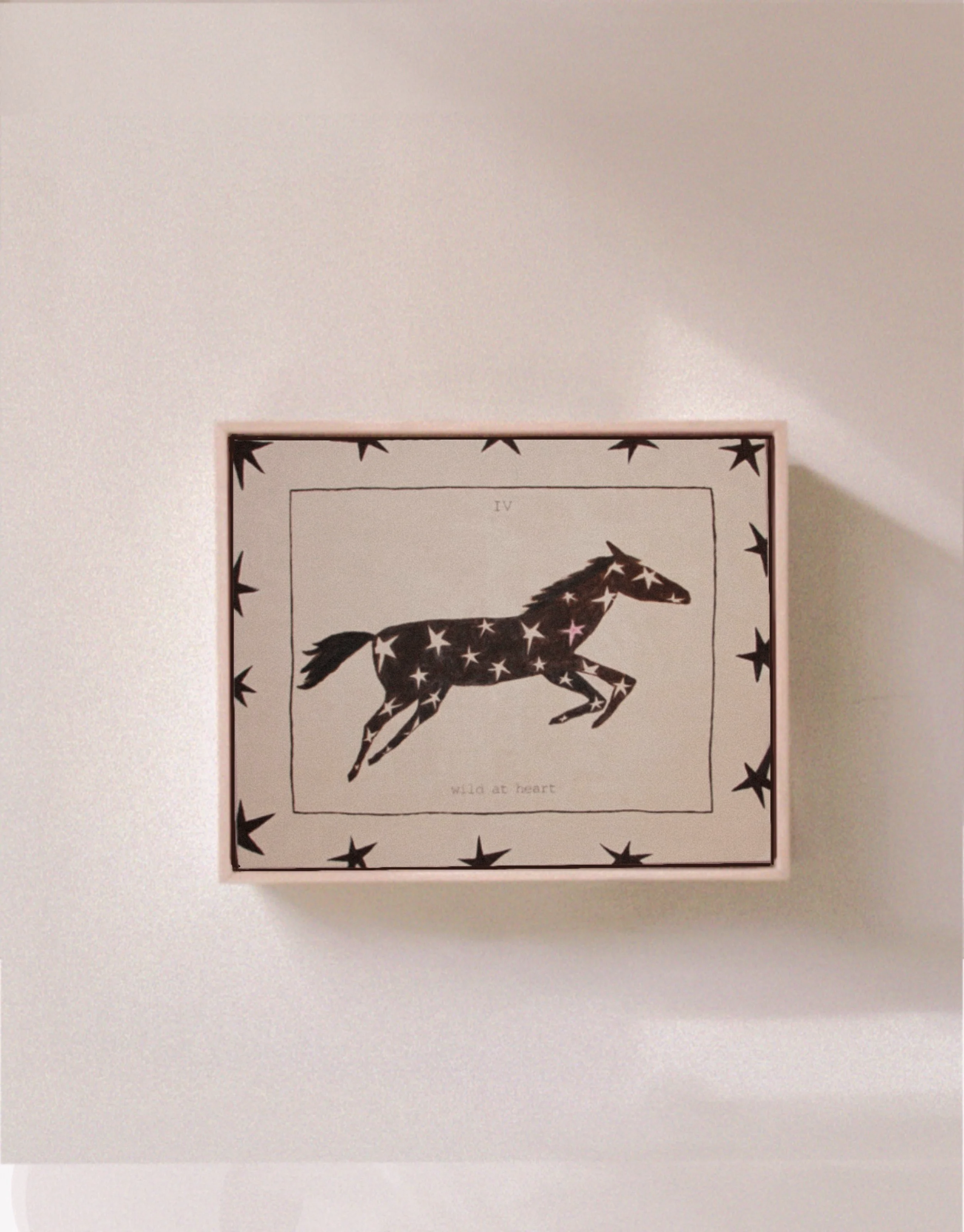 IV wild at heart ○ available