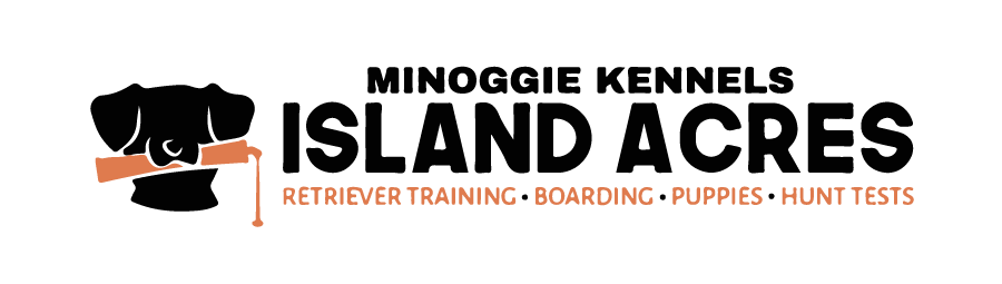 Minoggie Kennels Island Acres | Retriever Training, Boarding, Puppies, and Hunt Tests