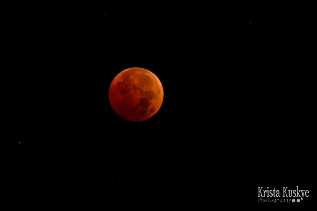 There is something special about waking up early, groggily walking outside to see if there is cloud coverage blocking the sky, and seeing the beautiful red tint on our moon gleaming at me. Gorgeous!! I was able to share this moment with my son as wel
