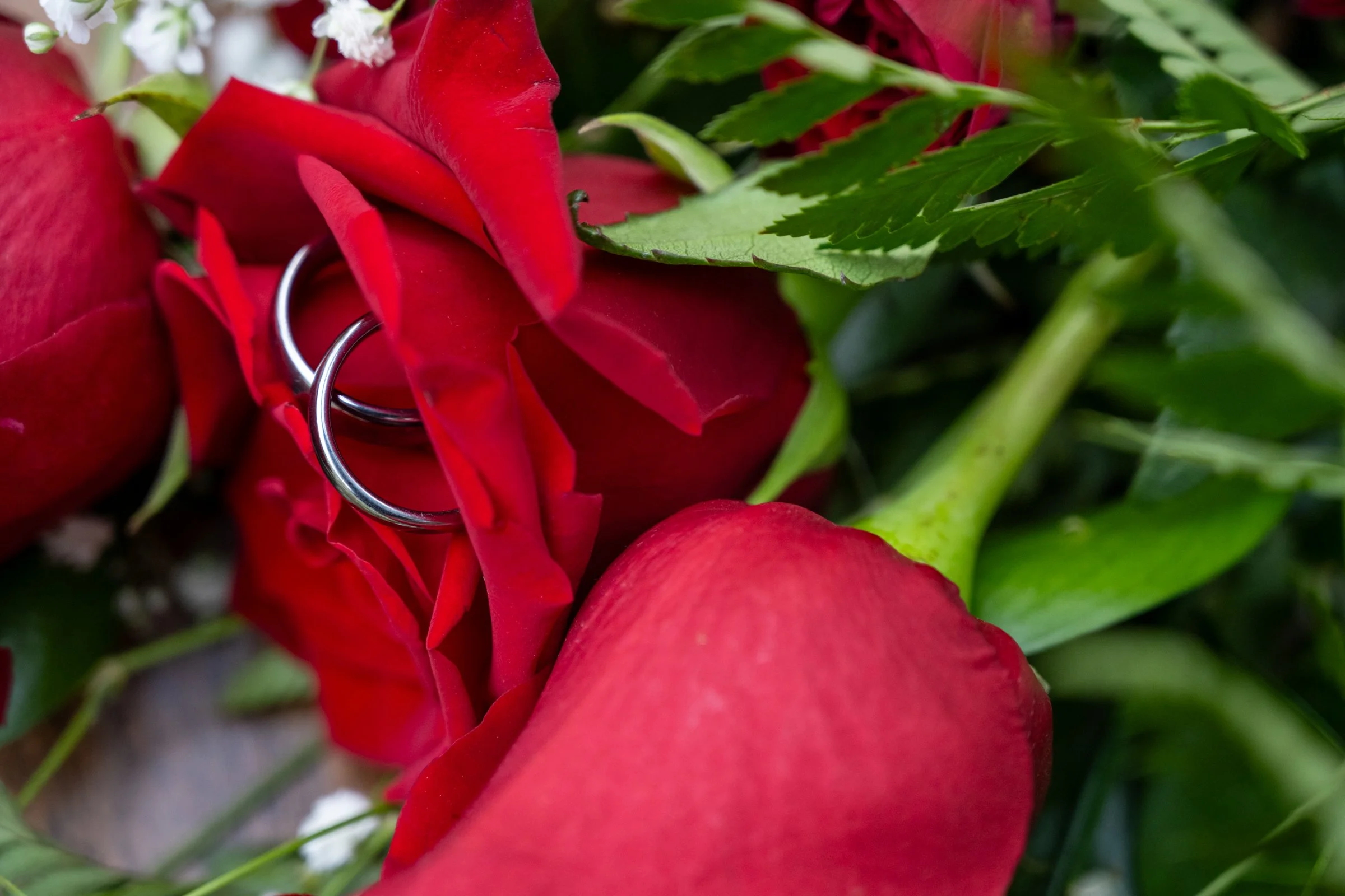 DSC_6855_SM.jpg