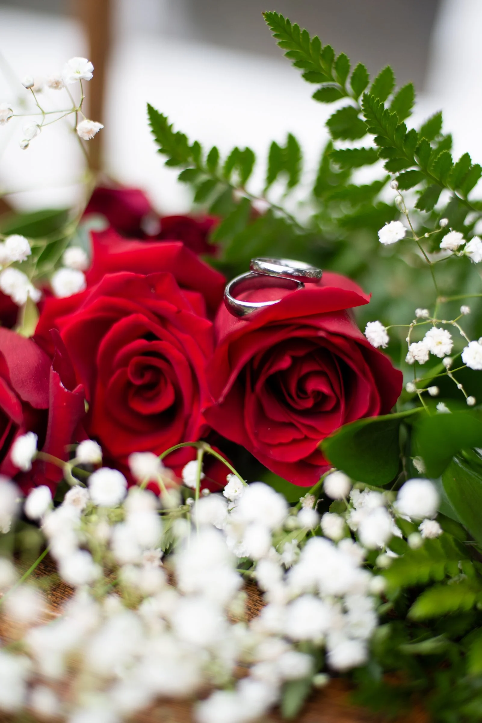 DSC_8835_SM.jpg