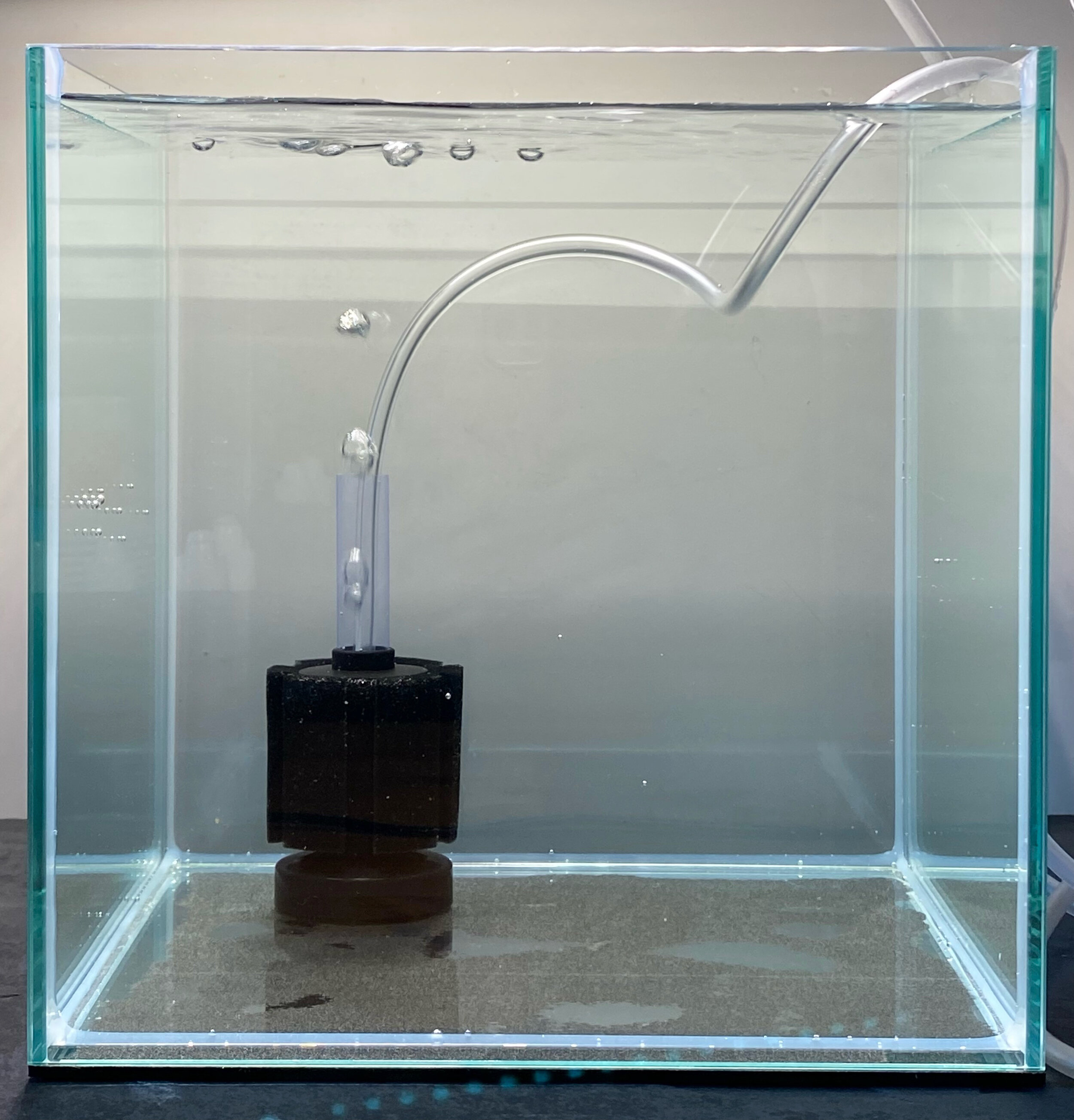 Seeds™ Cycled Sponge Filter
