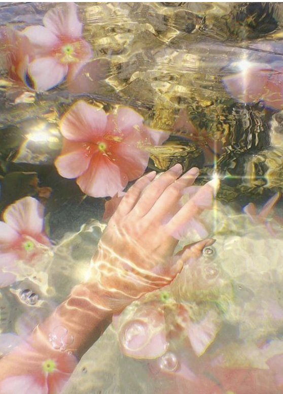 A hand touches water with pink flowers floating on the surface, creating ripples and reflections.