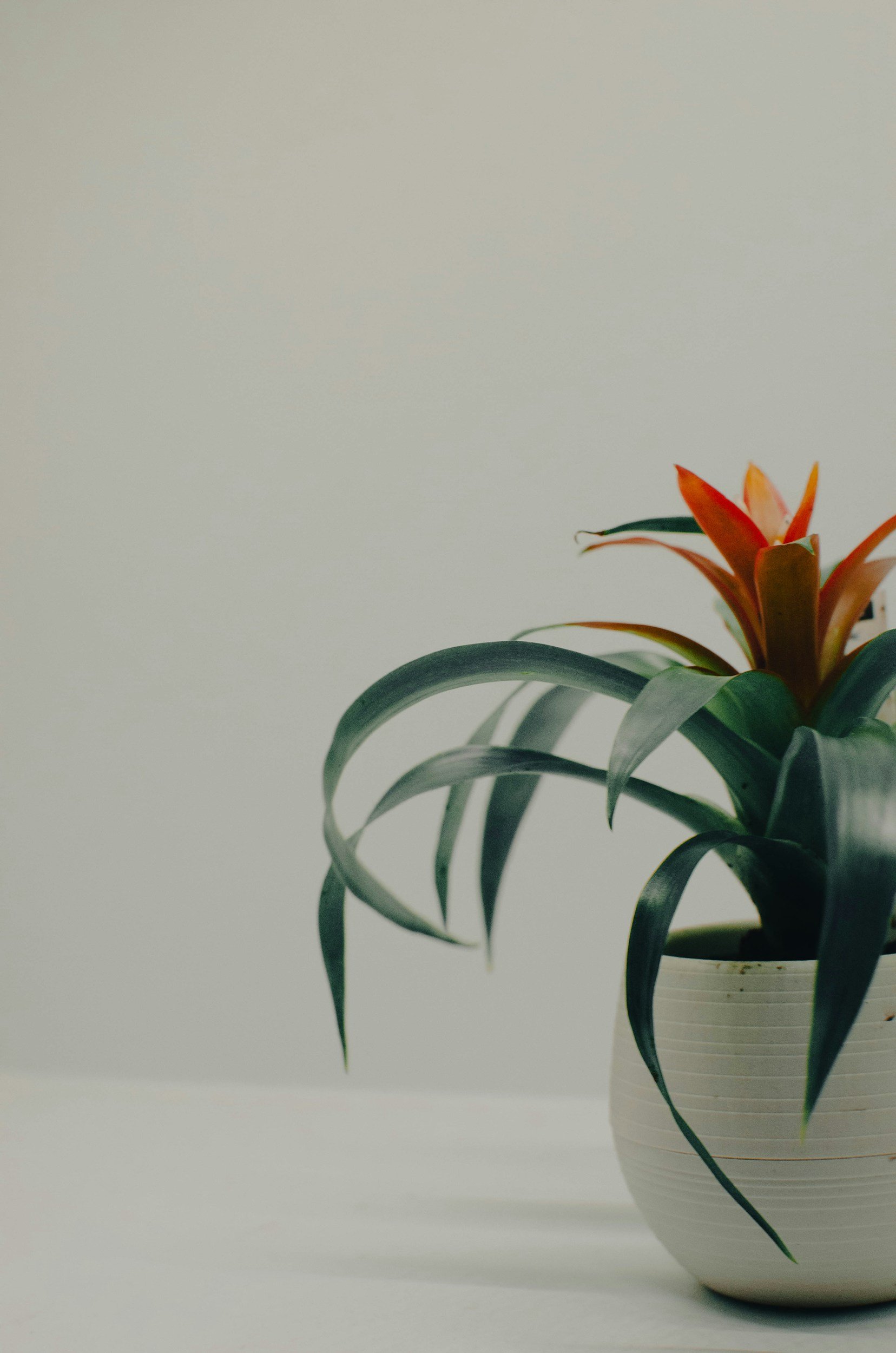 Mindfulness Unplugged: A Casual Evening with MMBH