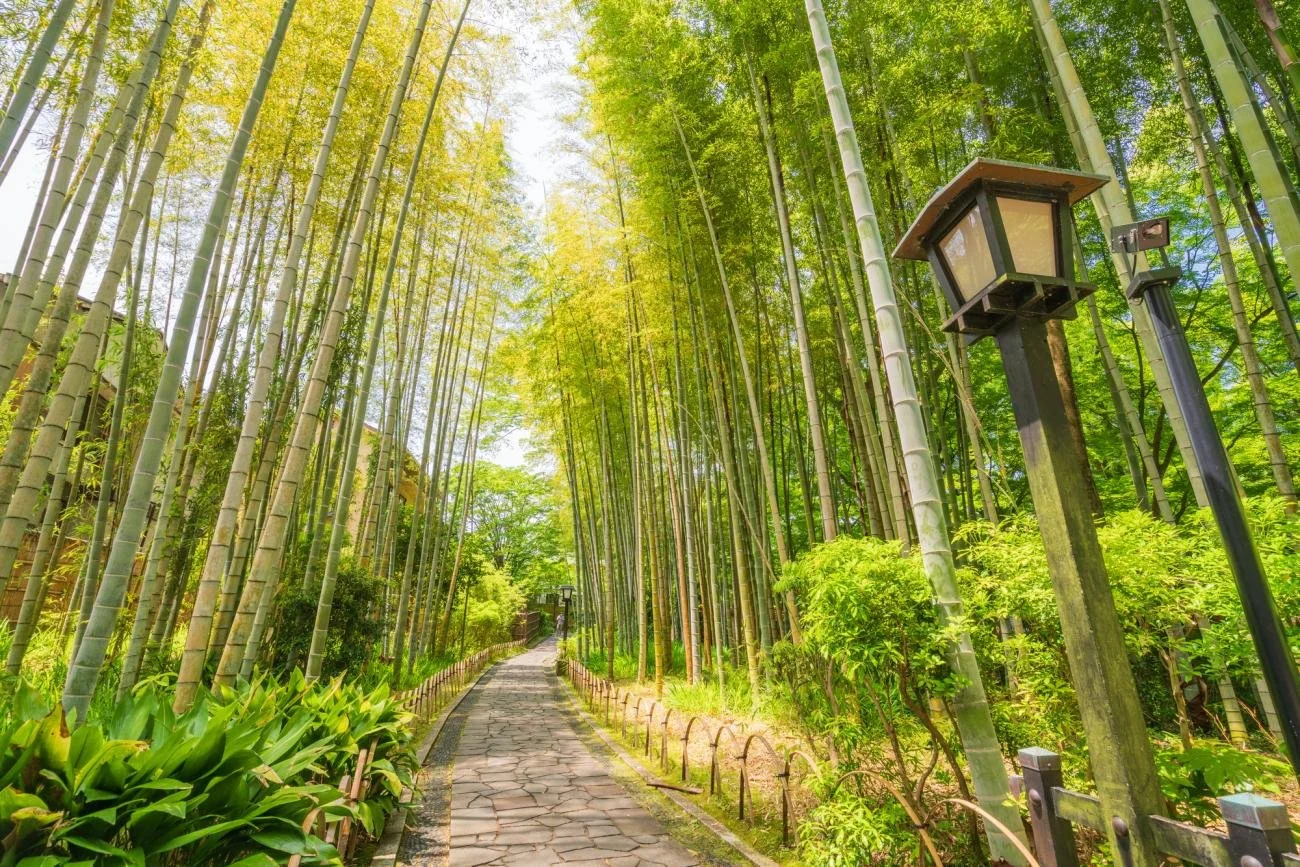 shuzenji-onsen-guide_5.jpg (Copy)