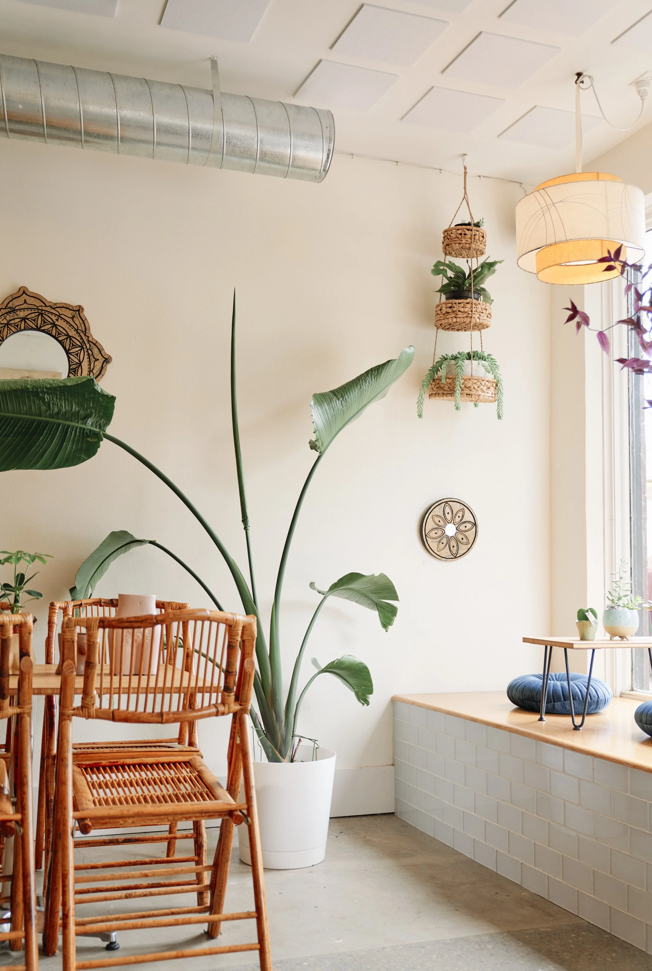 Why a Preventative Wellness Routine Beats the Occasional Quick Fix