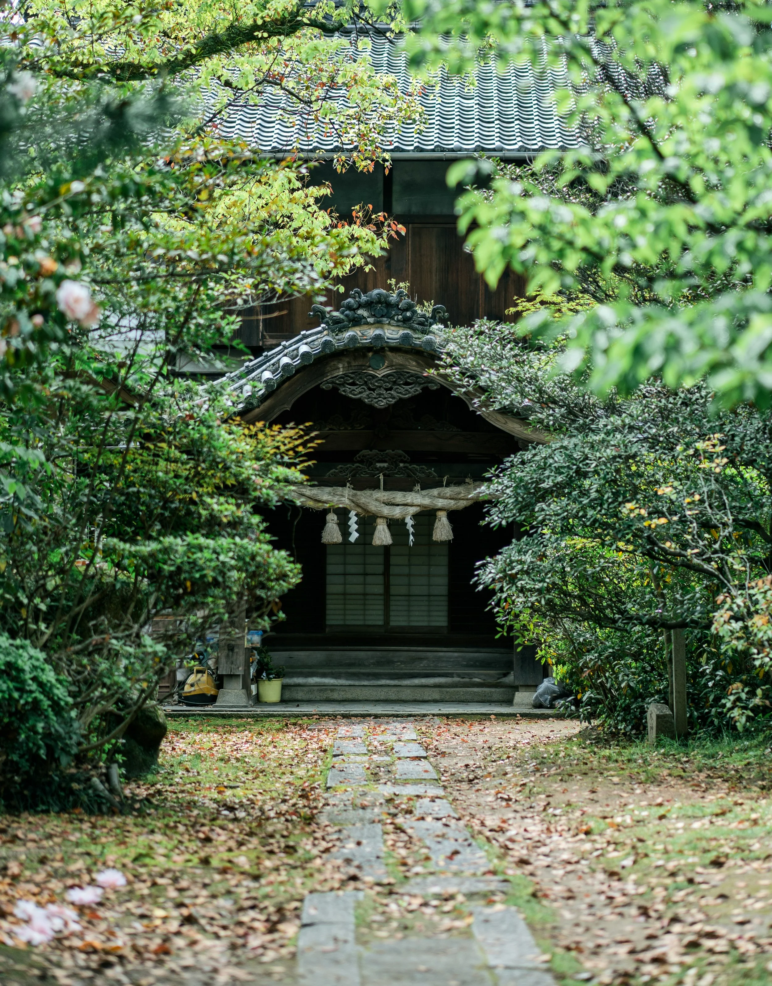 weichao-deng-8zEXNsa5p3M-unsplash.jpg
