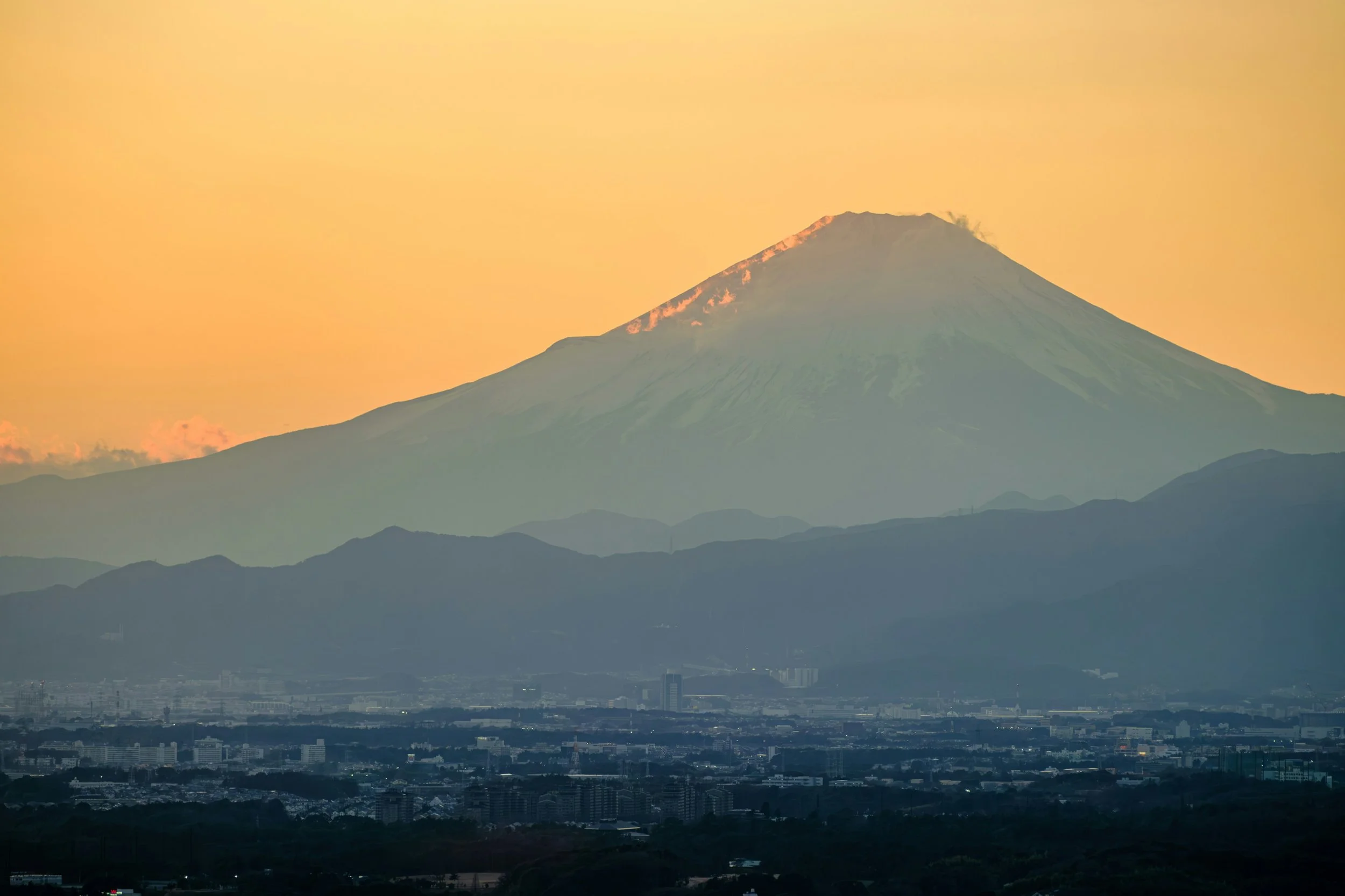 nichika-sakurai-PDU9dVt2WKU-unsplash.jpg