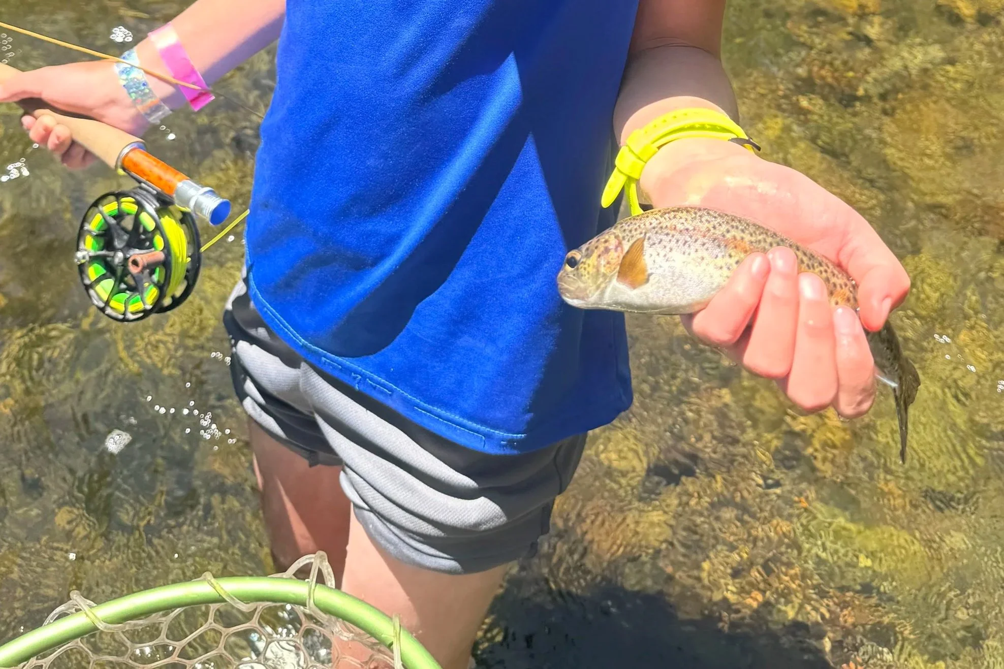 Why You’re Not Catching Fish Fly Fishing (And What Actually Works Instead)