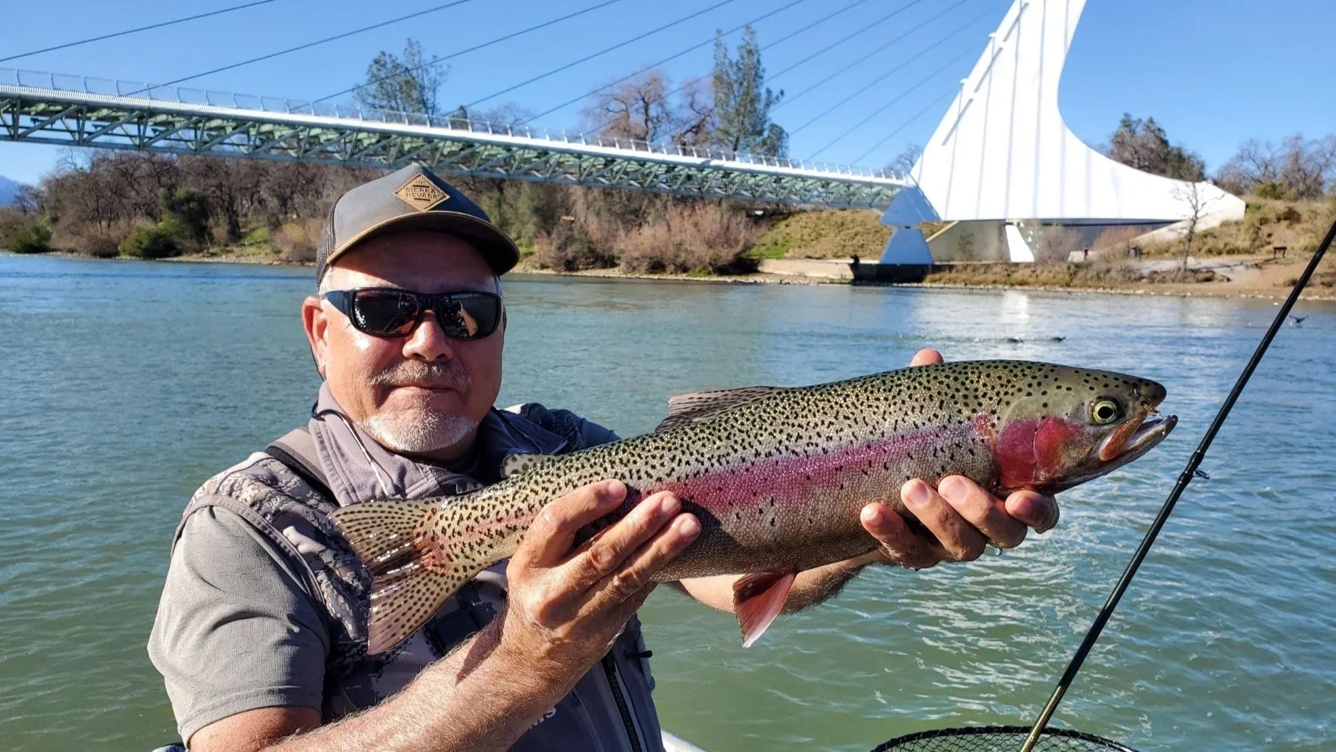 Lower Sacramento River Trophy Trout