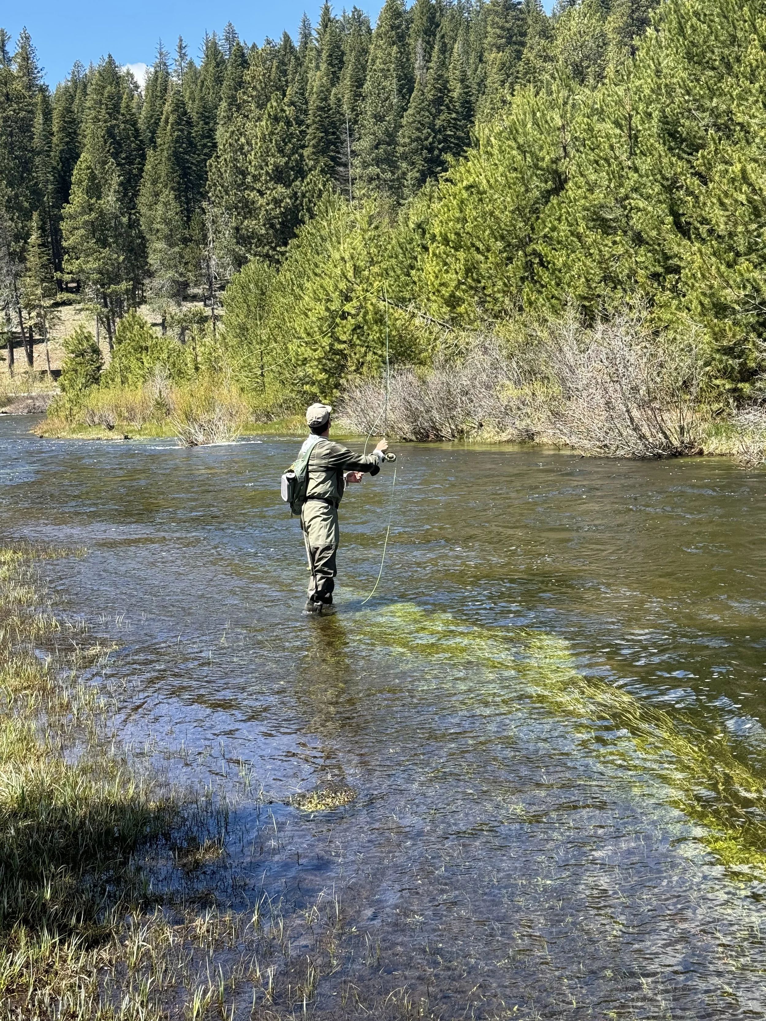 Person fly fishing in a river surrounded by trees