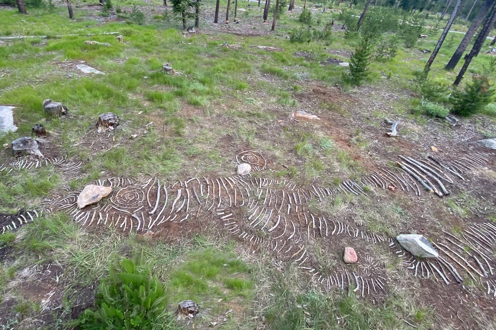image of River sculpture running through Stanley Idaho