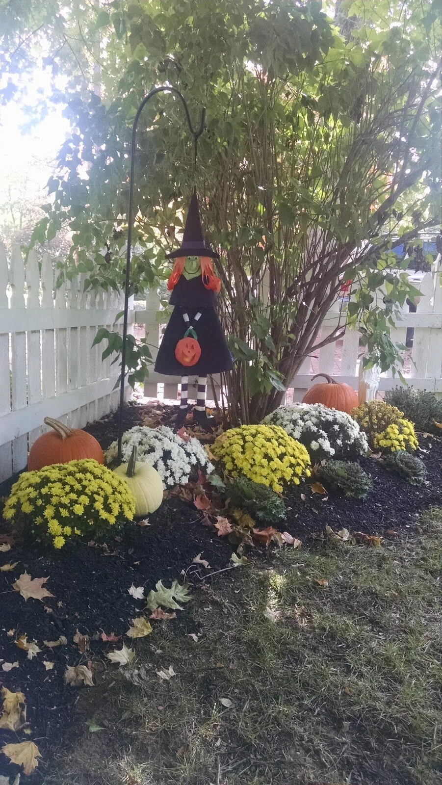 250cf-img_20161010_115000491.jpg