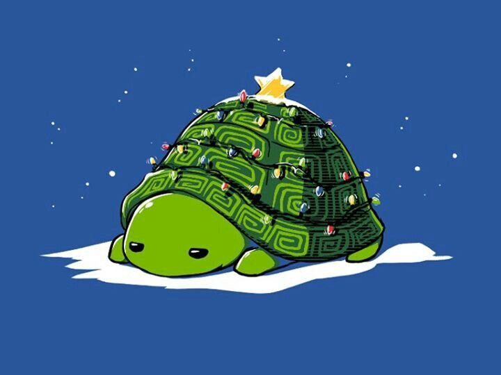 2019: Turtle Joy, Everyone