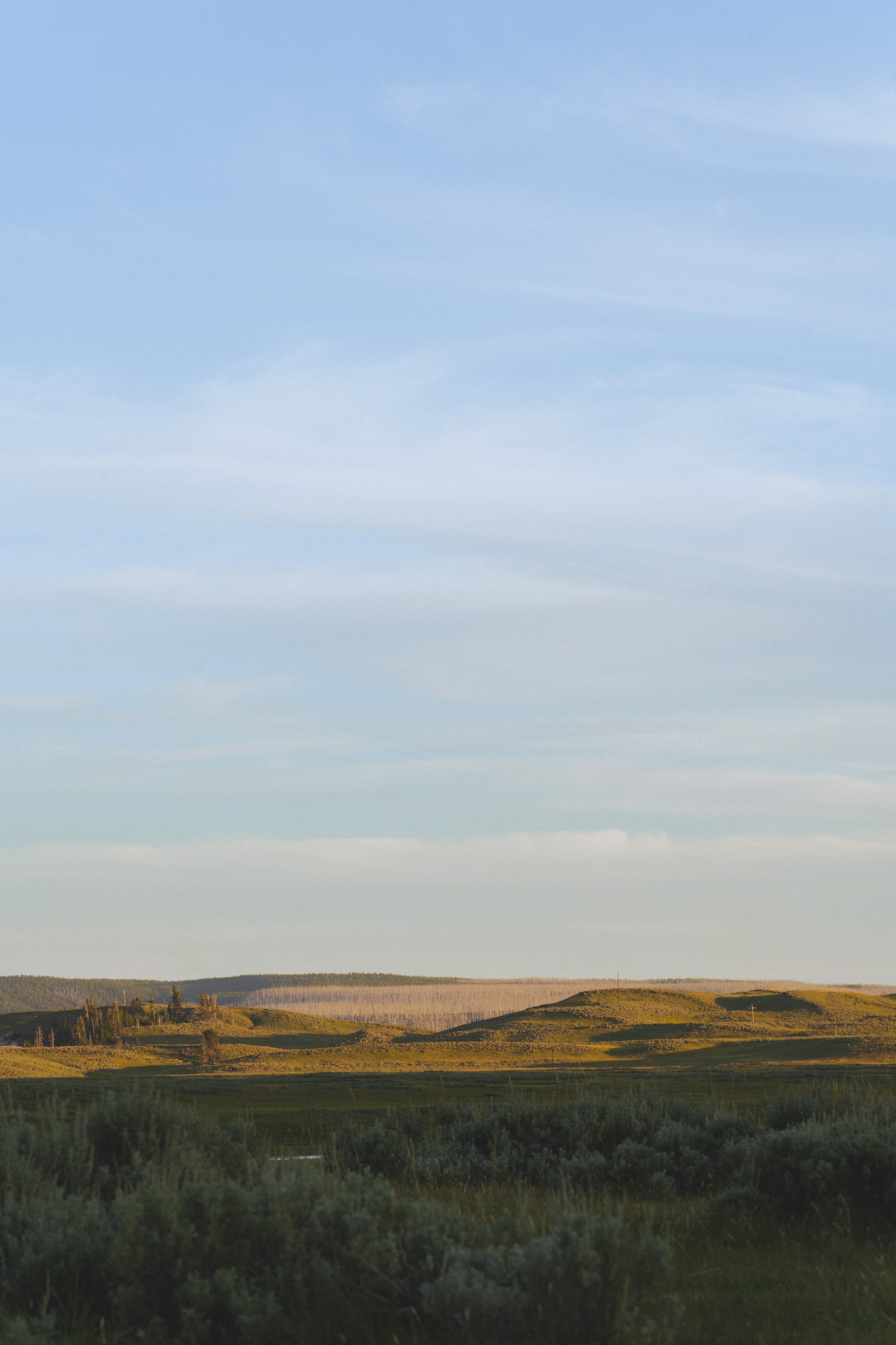 20260802-_DSC9695.jpg