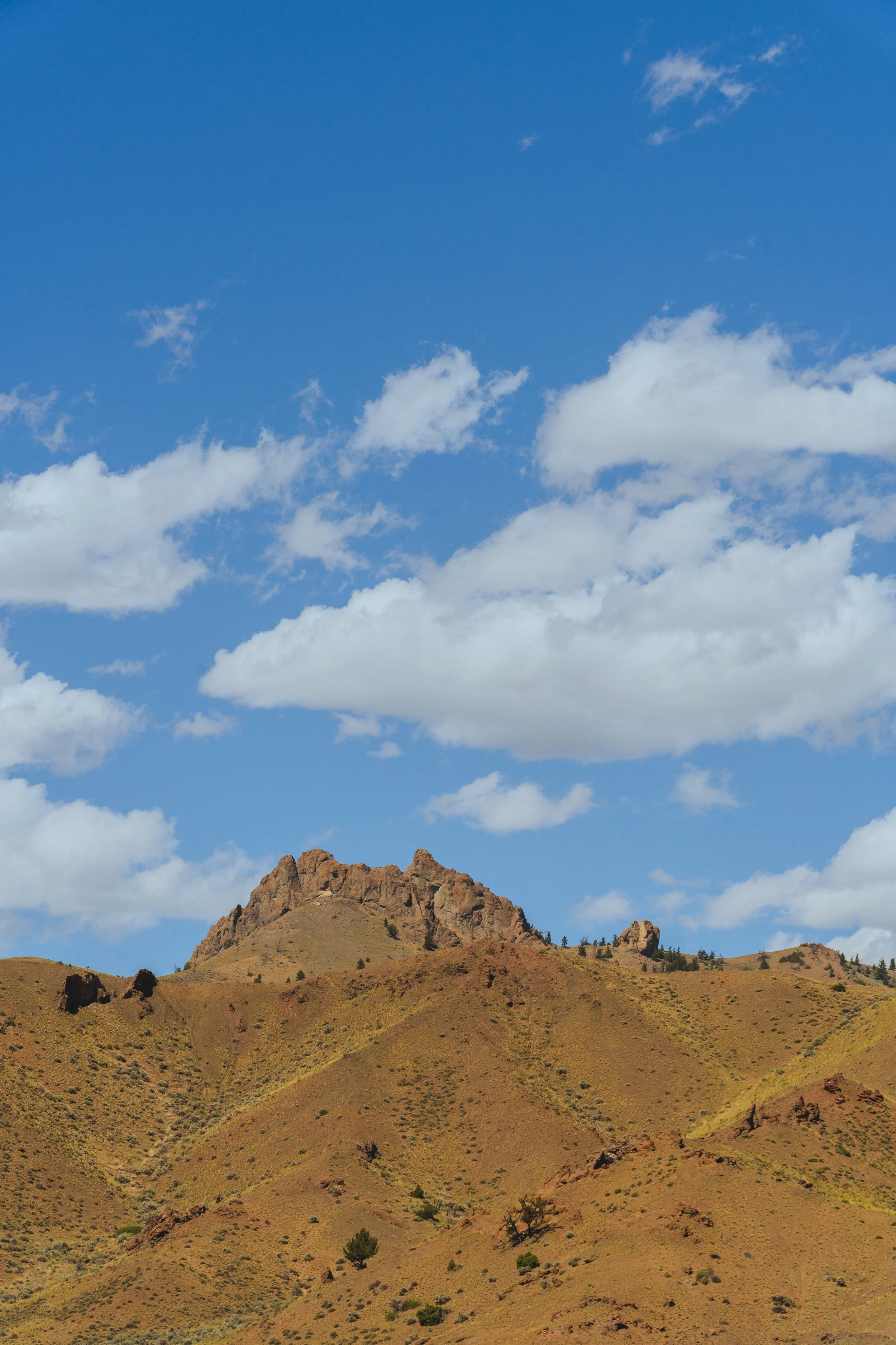 _DSC0314.jpg